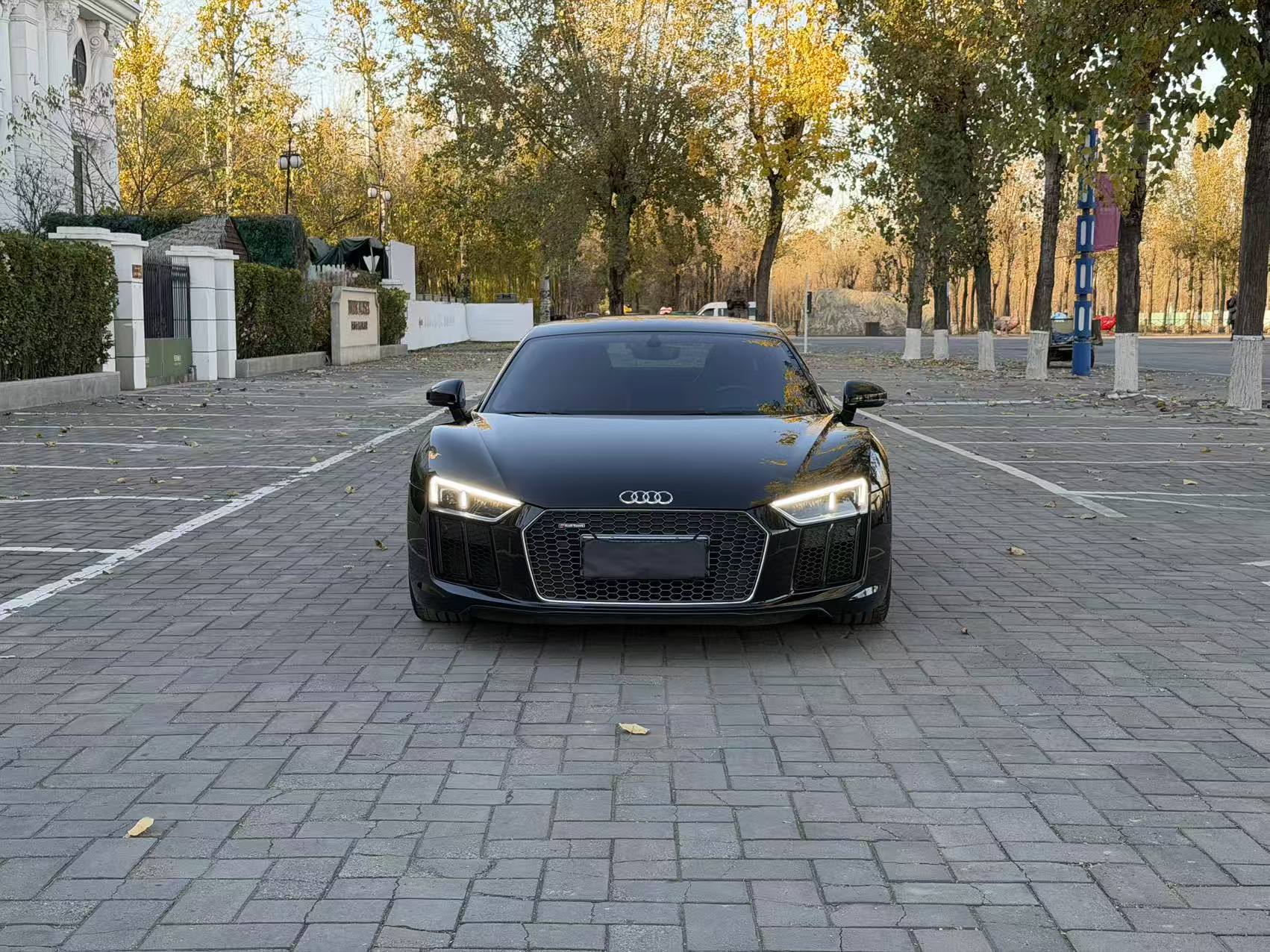 Audi R8 2018 car image #2