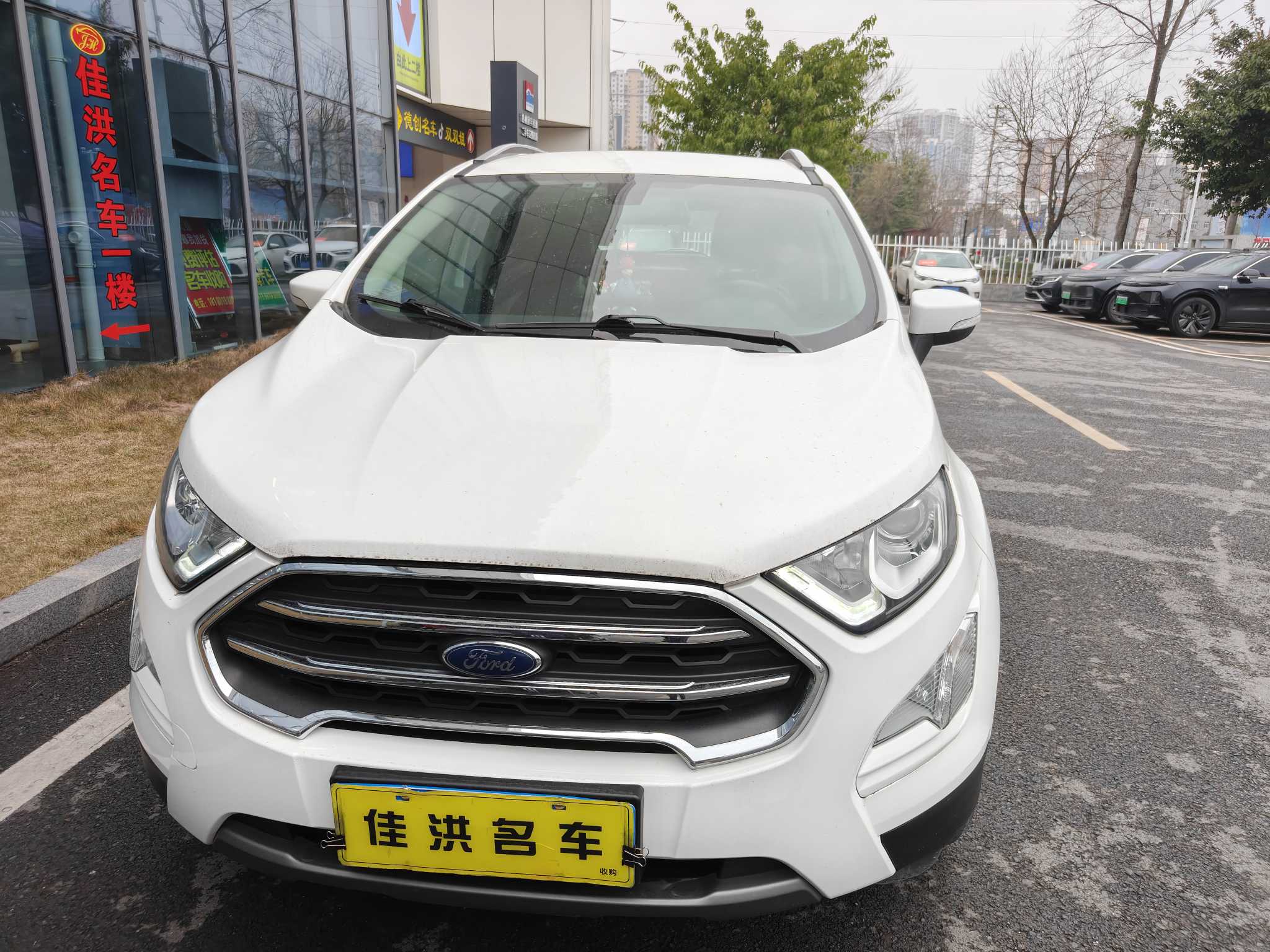 Ford EcoSport 2019 car image #2