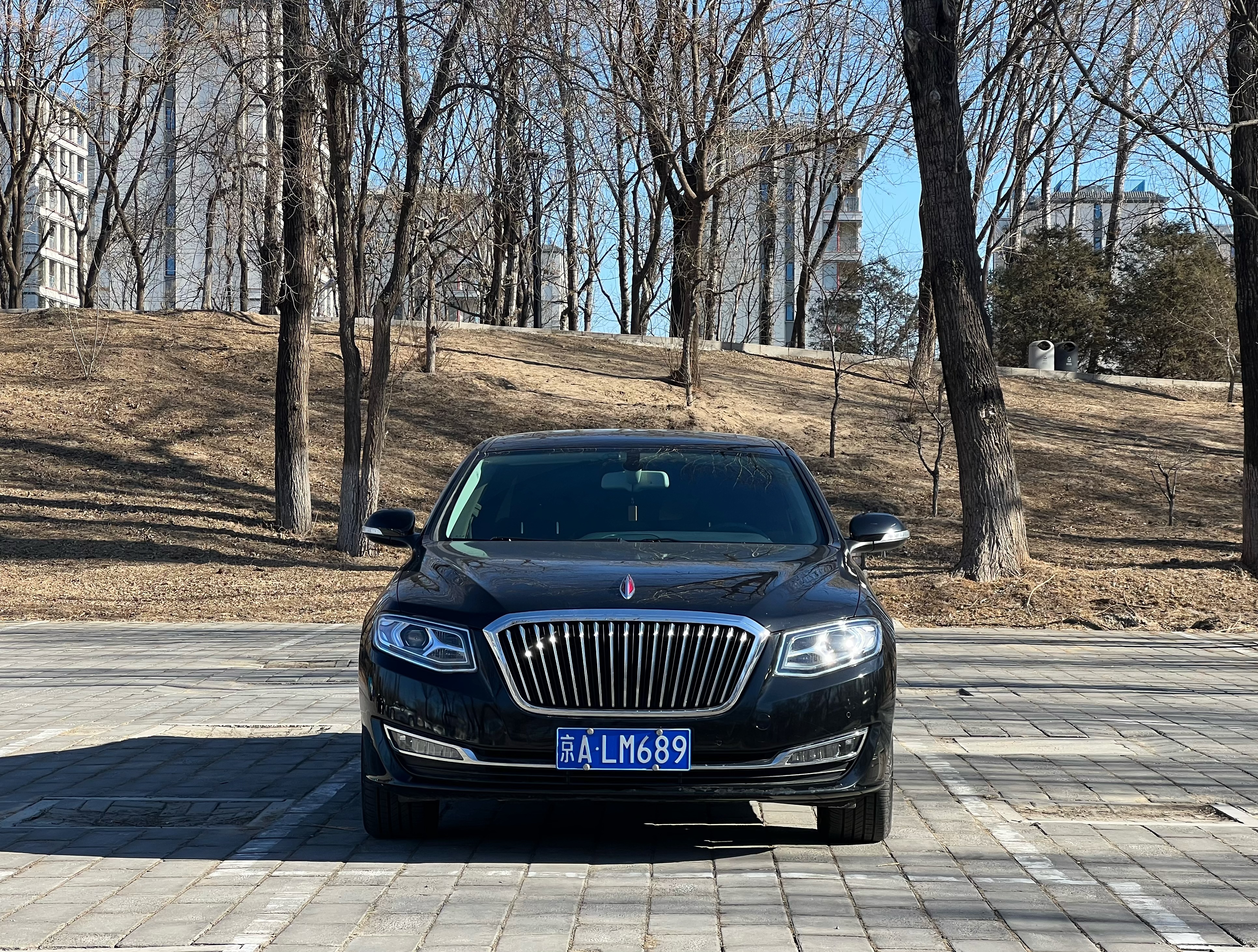HongQi H7 2018 car image #2