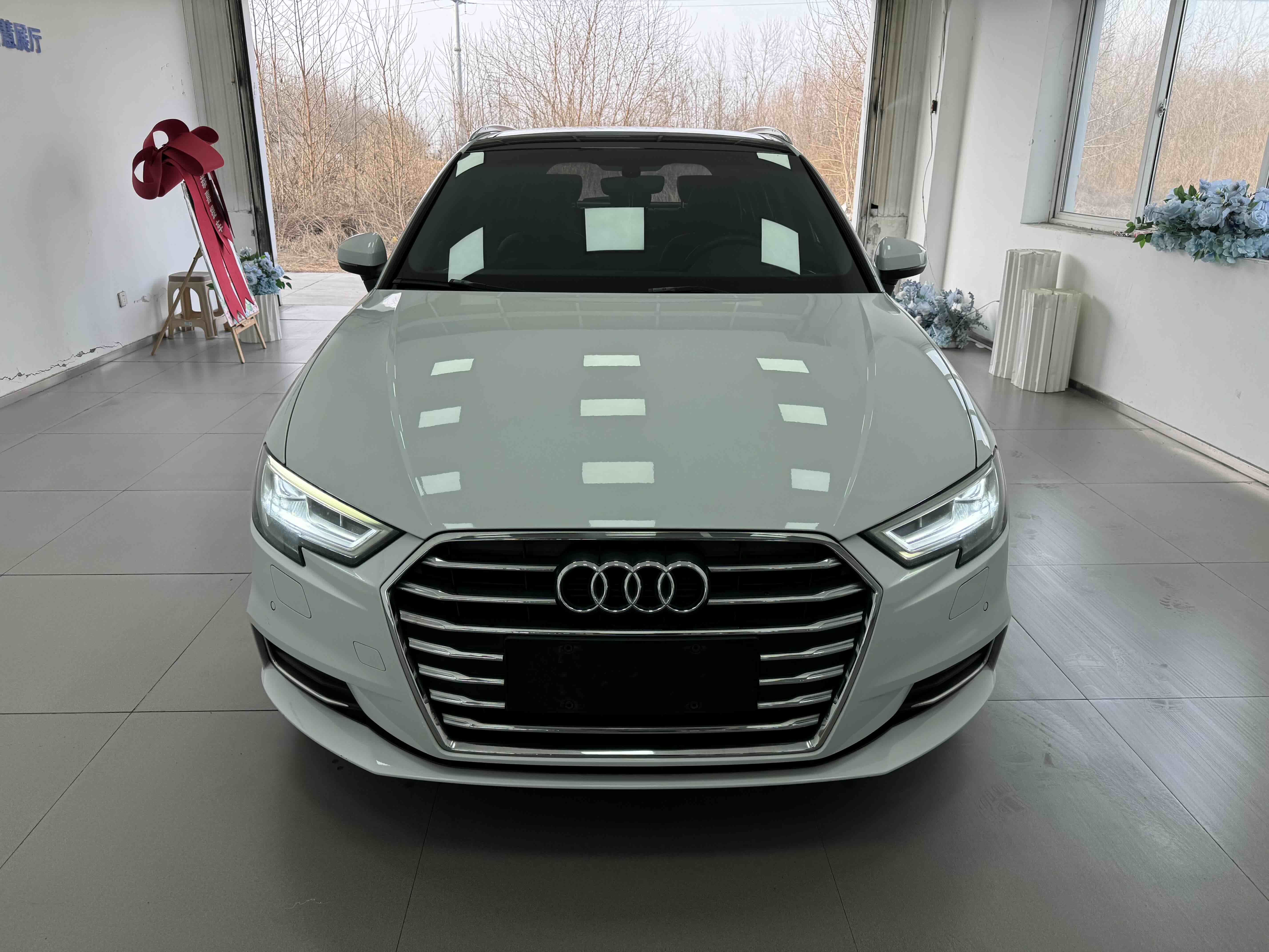 奥迪 奥迪A3 2017 汽车图片 #2