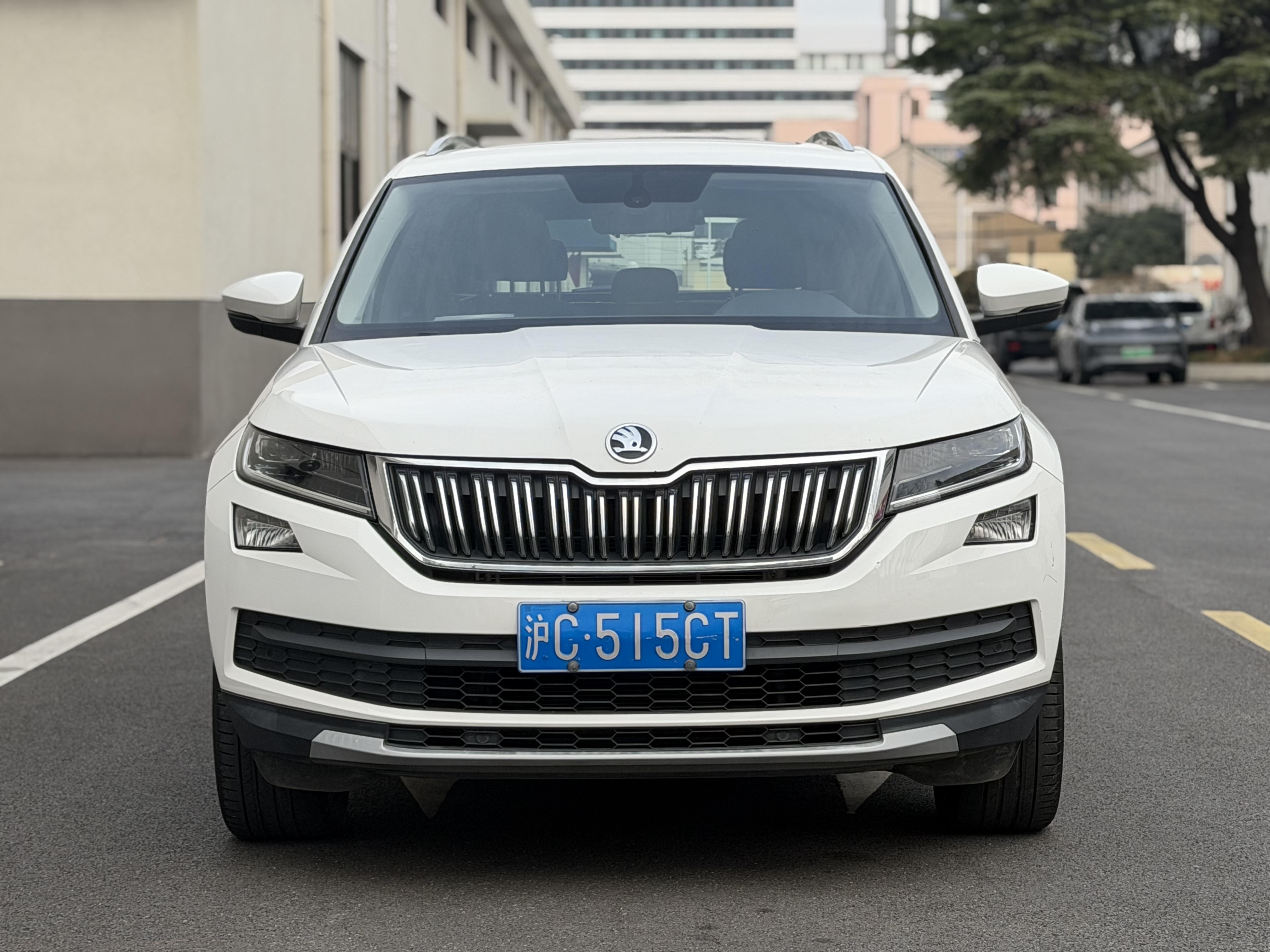 斯柯达 柯迪亚克 2019 汽车图片 #2