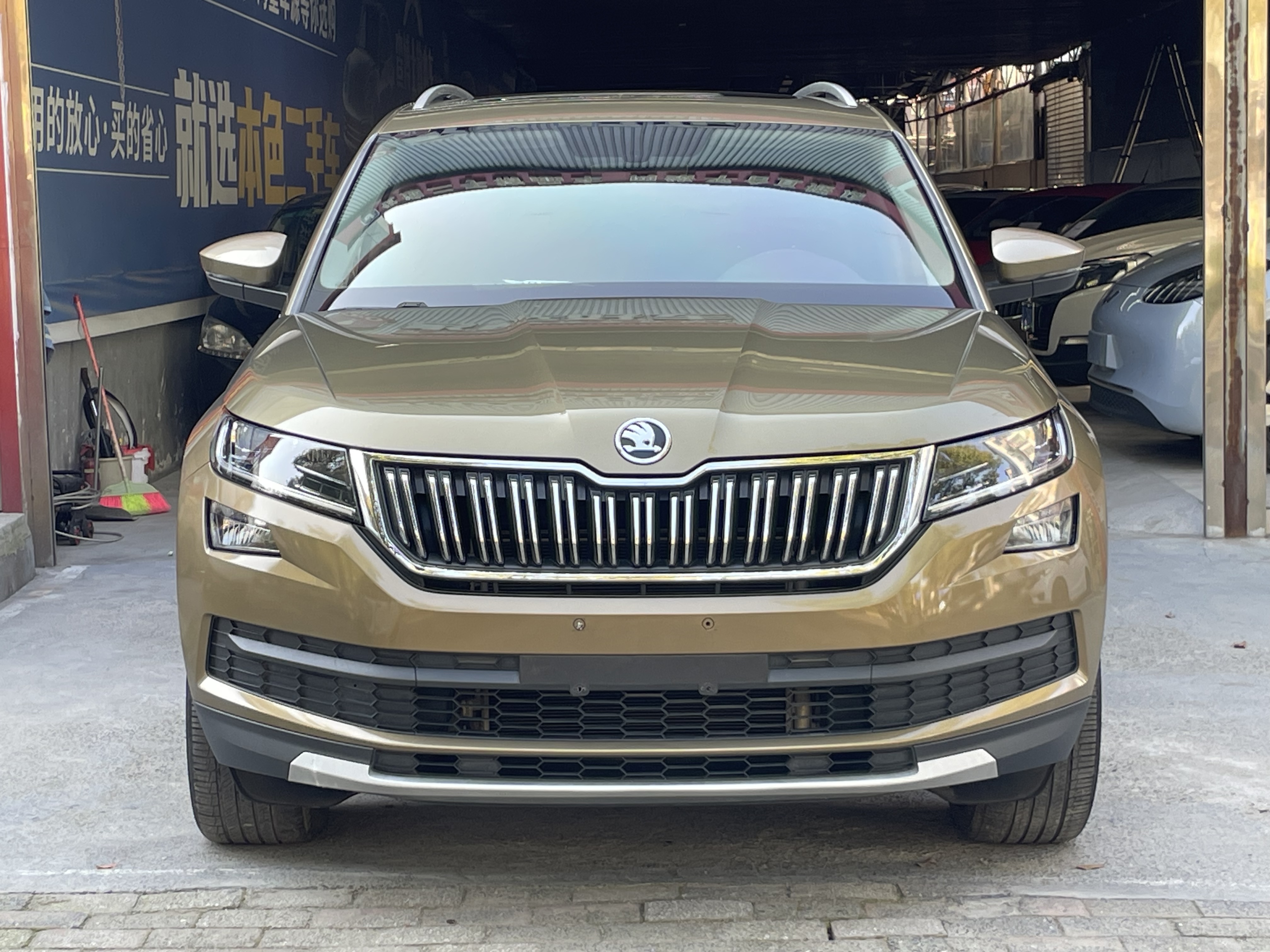 Skoda Kodiaq 2019 imagen de coche #2