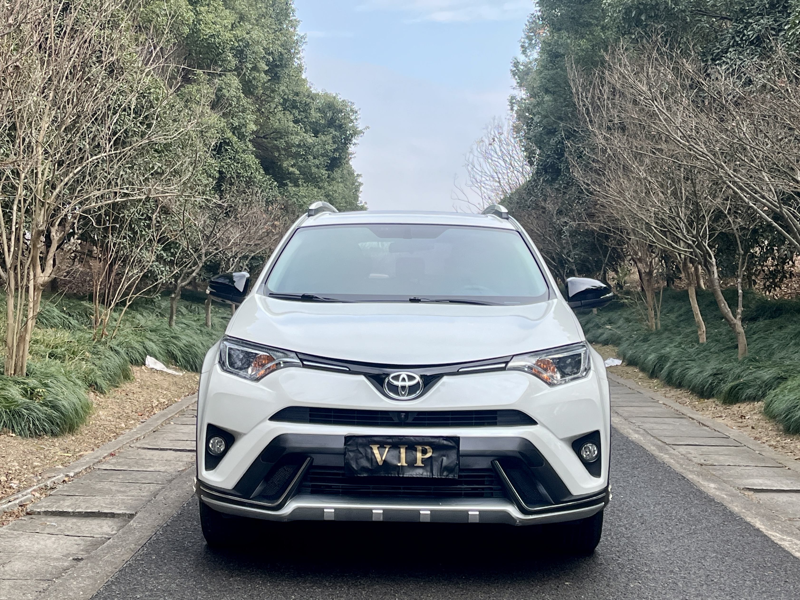 Toyota RAV4 2019 #2 Toyota RAV4 2019 car image #2