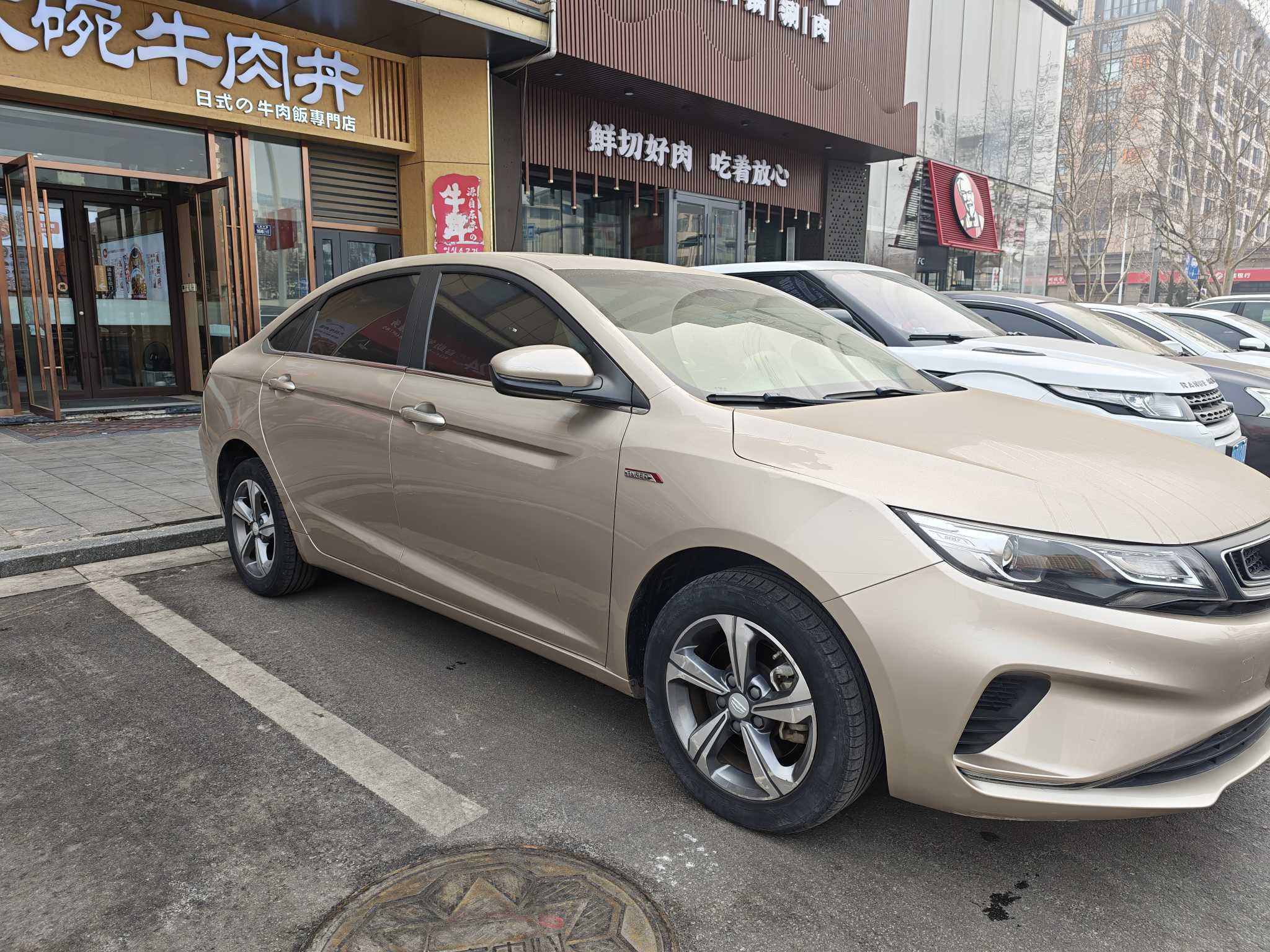 GEELY Emgrand GL 2019 car image #2