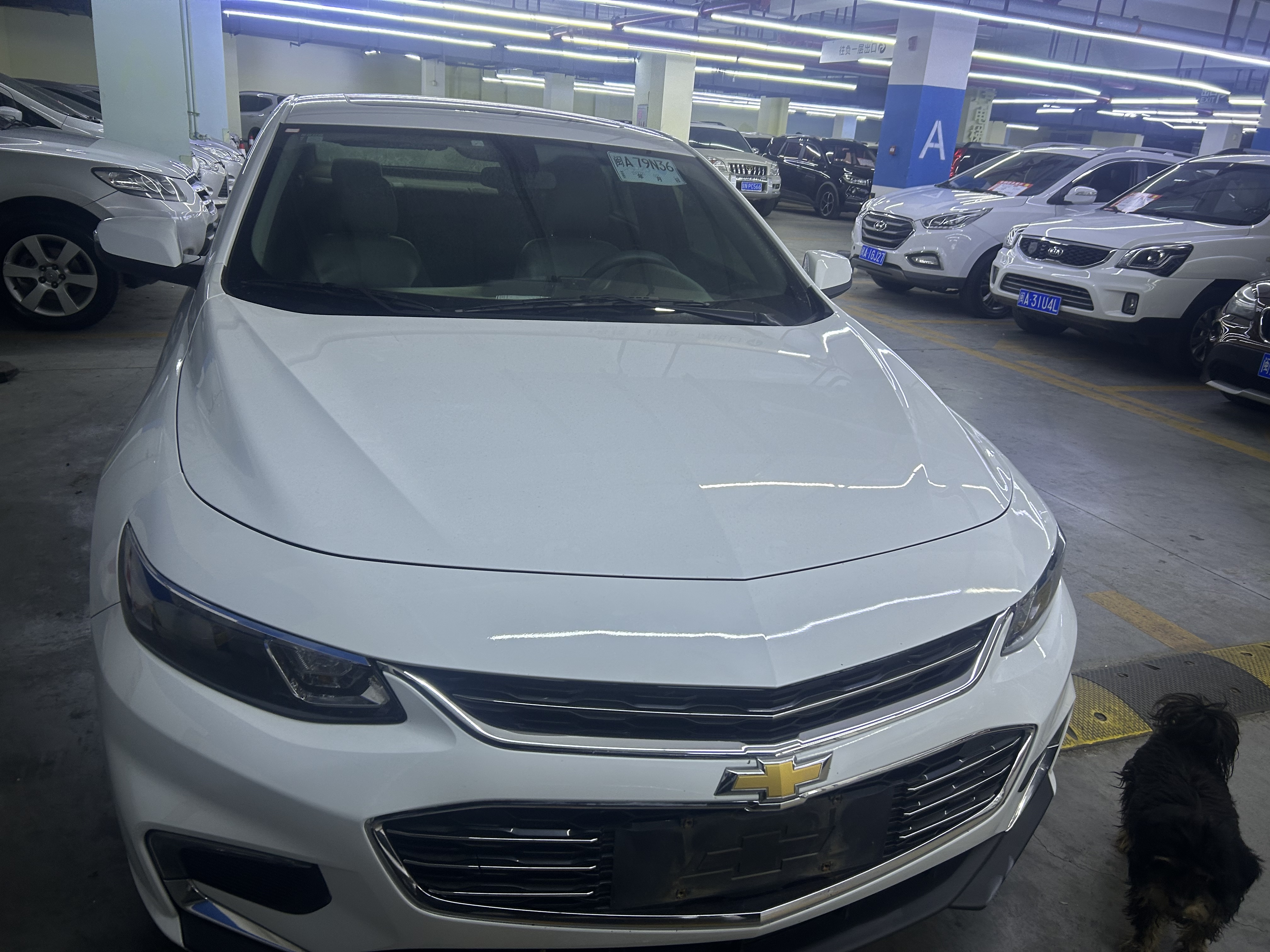 Chevrolet Malibu XL 2018 car image #2