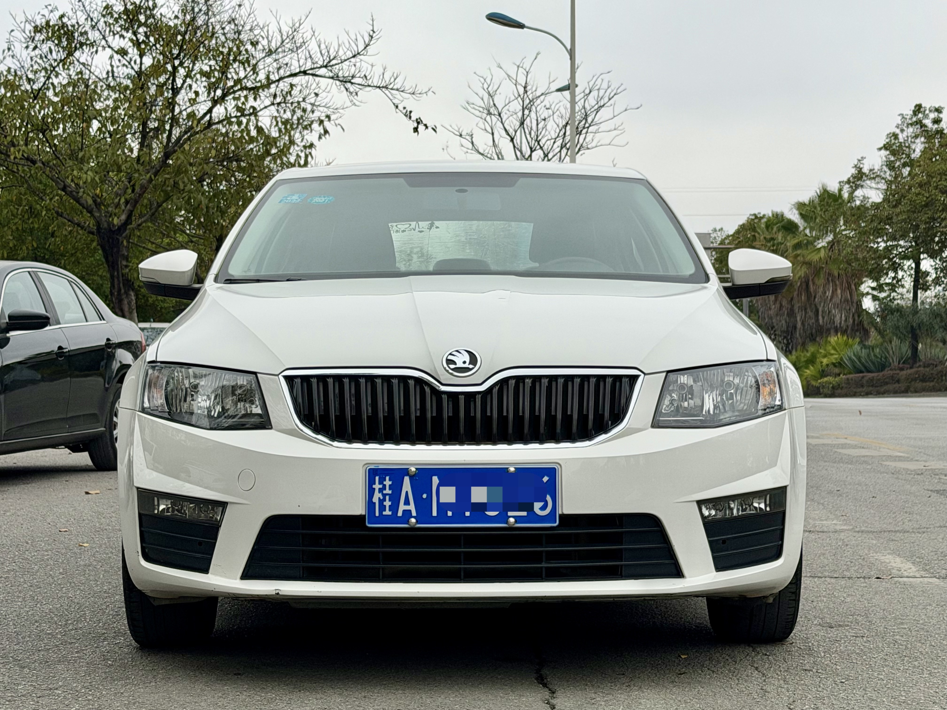 Skoda 2018 immagine di auto #2