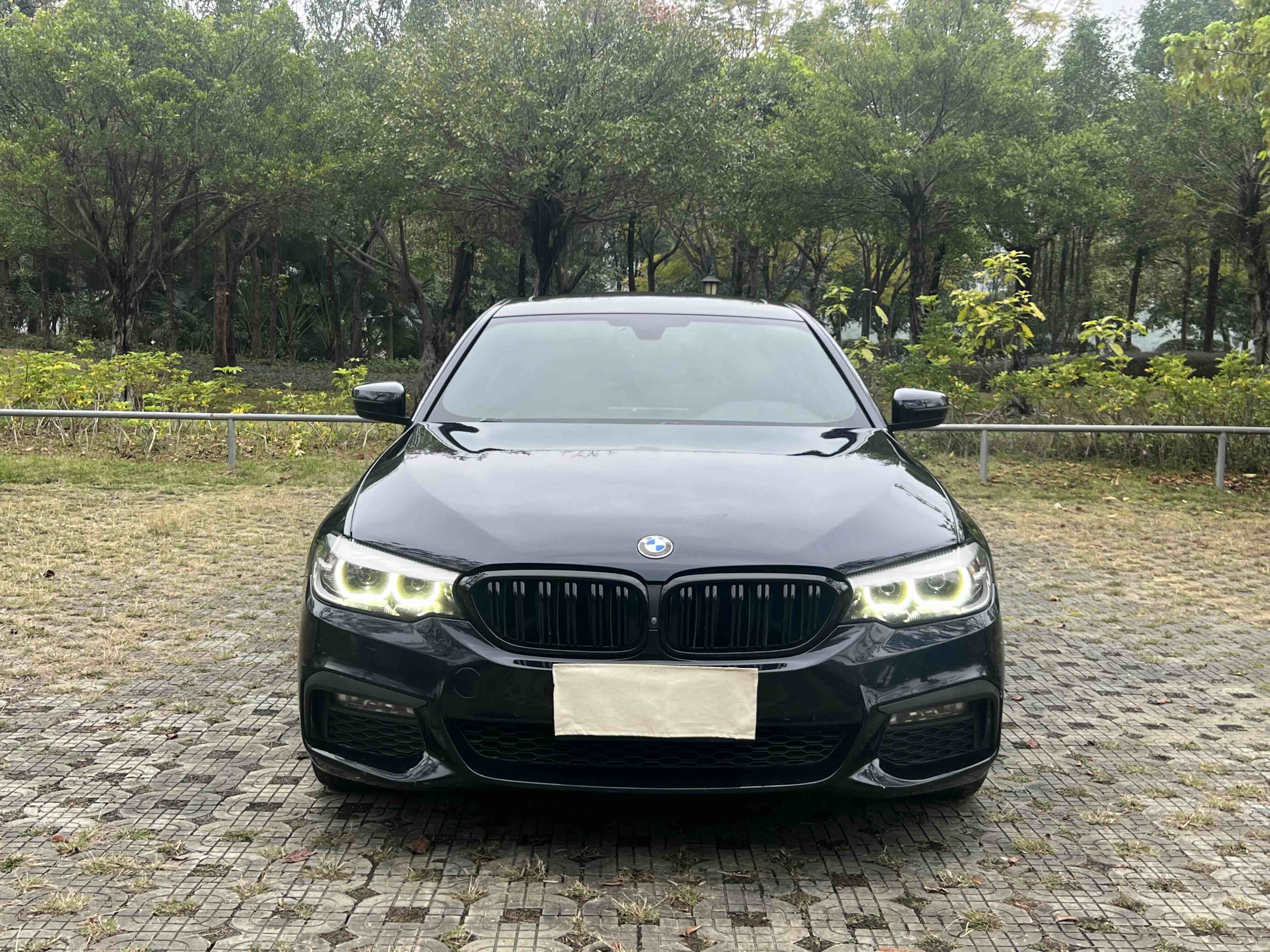 BMW 5 Series 2017 car image #2