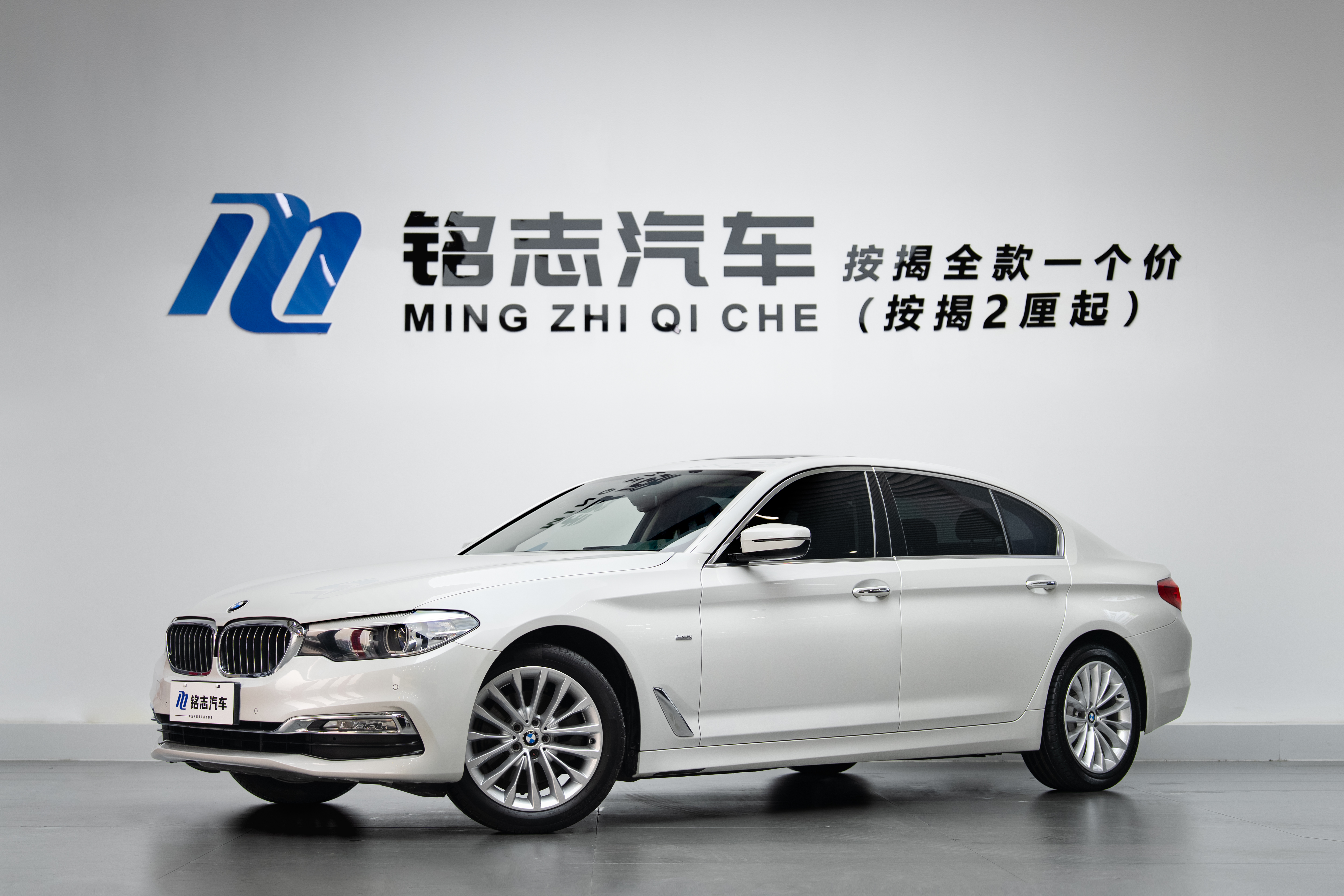 BMW 5 Series 2018 car image #2