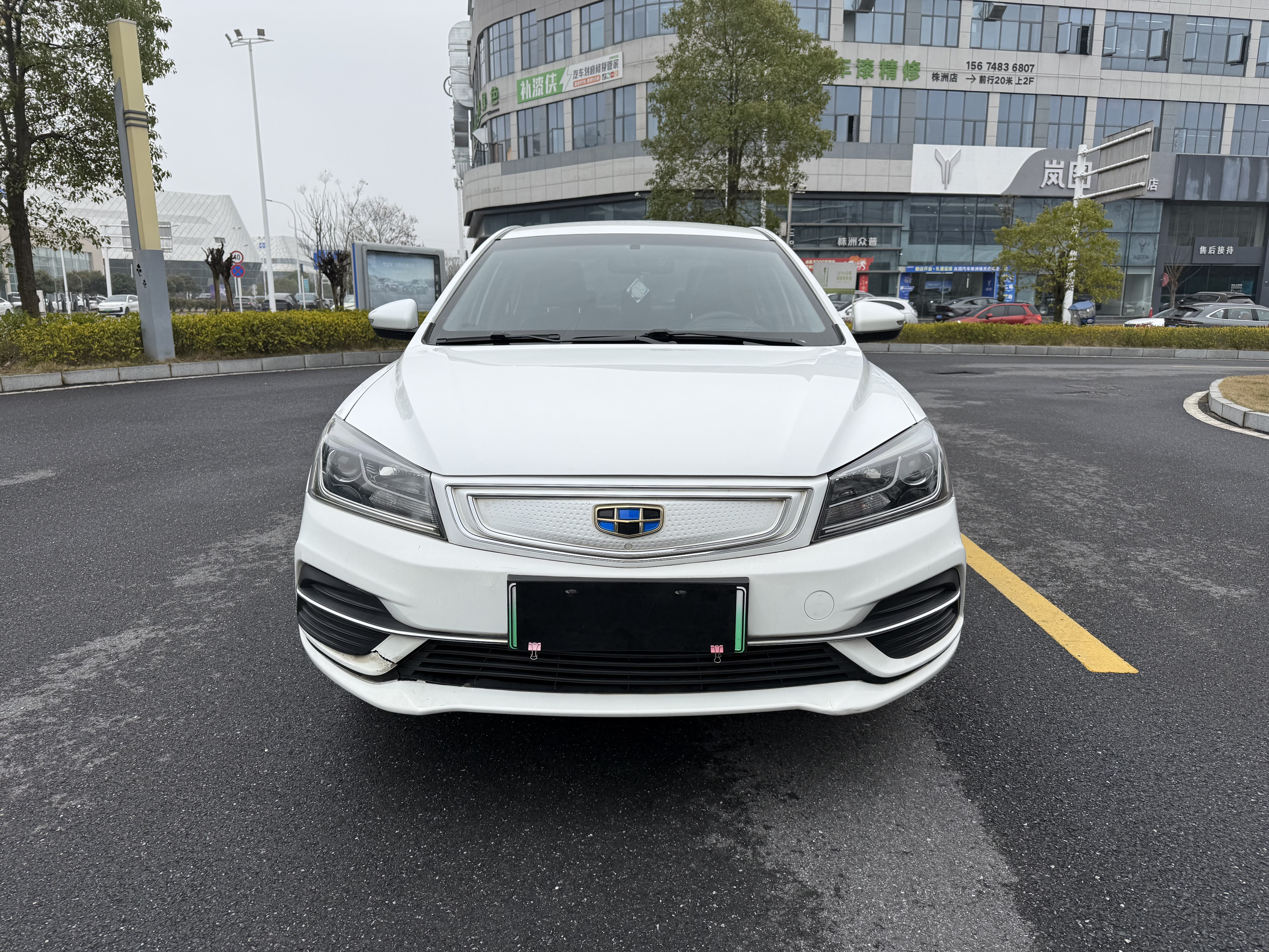 Emgrand New Energy 2019 car image #2