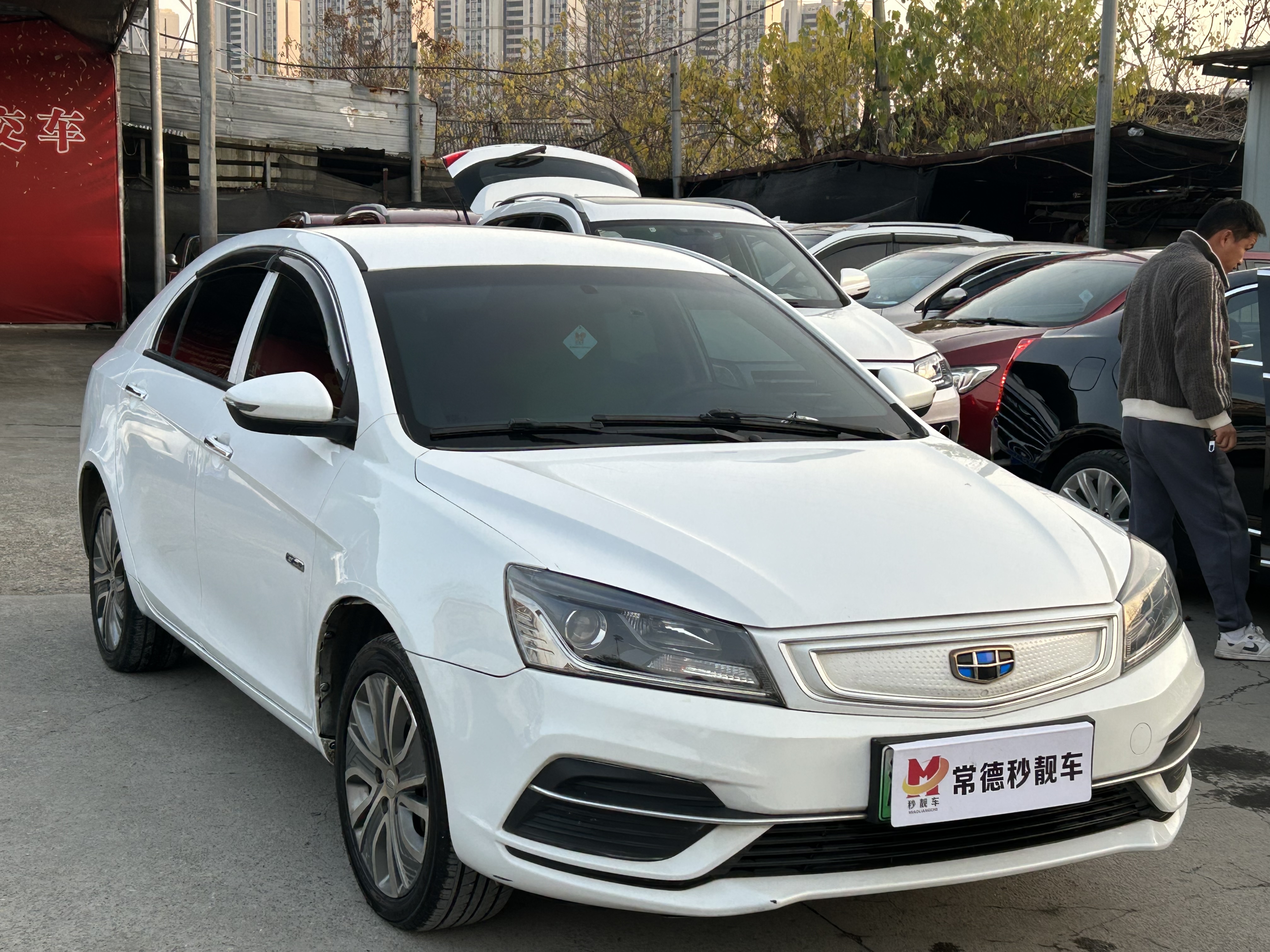GEELY Emgrand New Energy 2019 car image #2