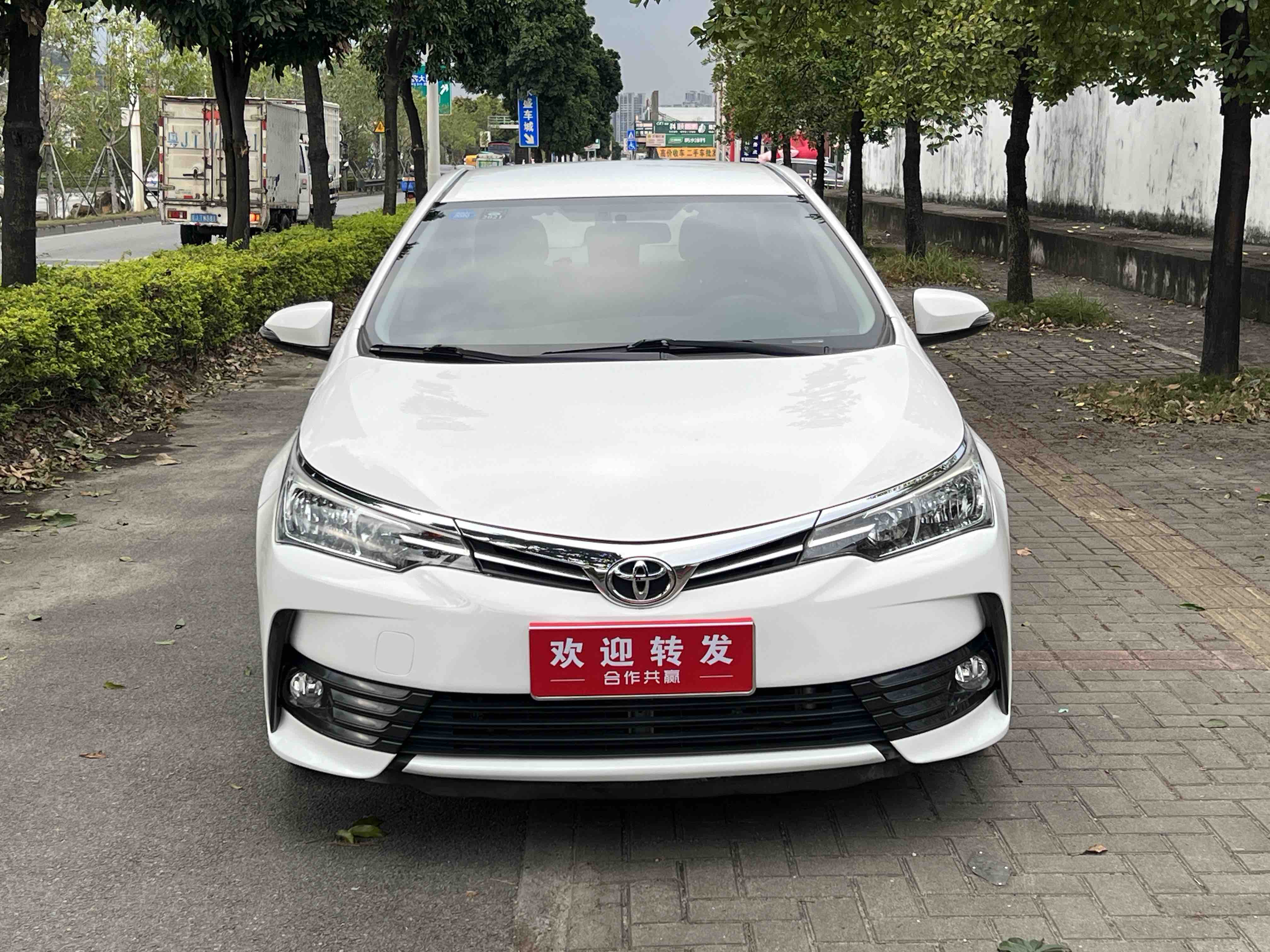 Corolla 2019 car image #2