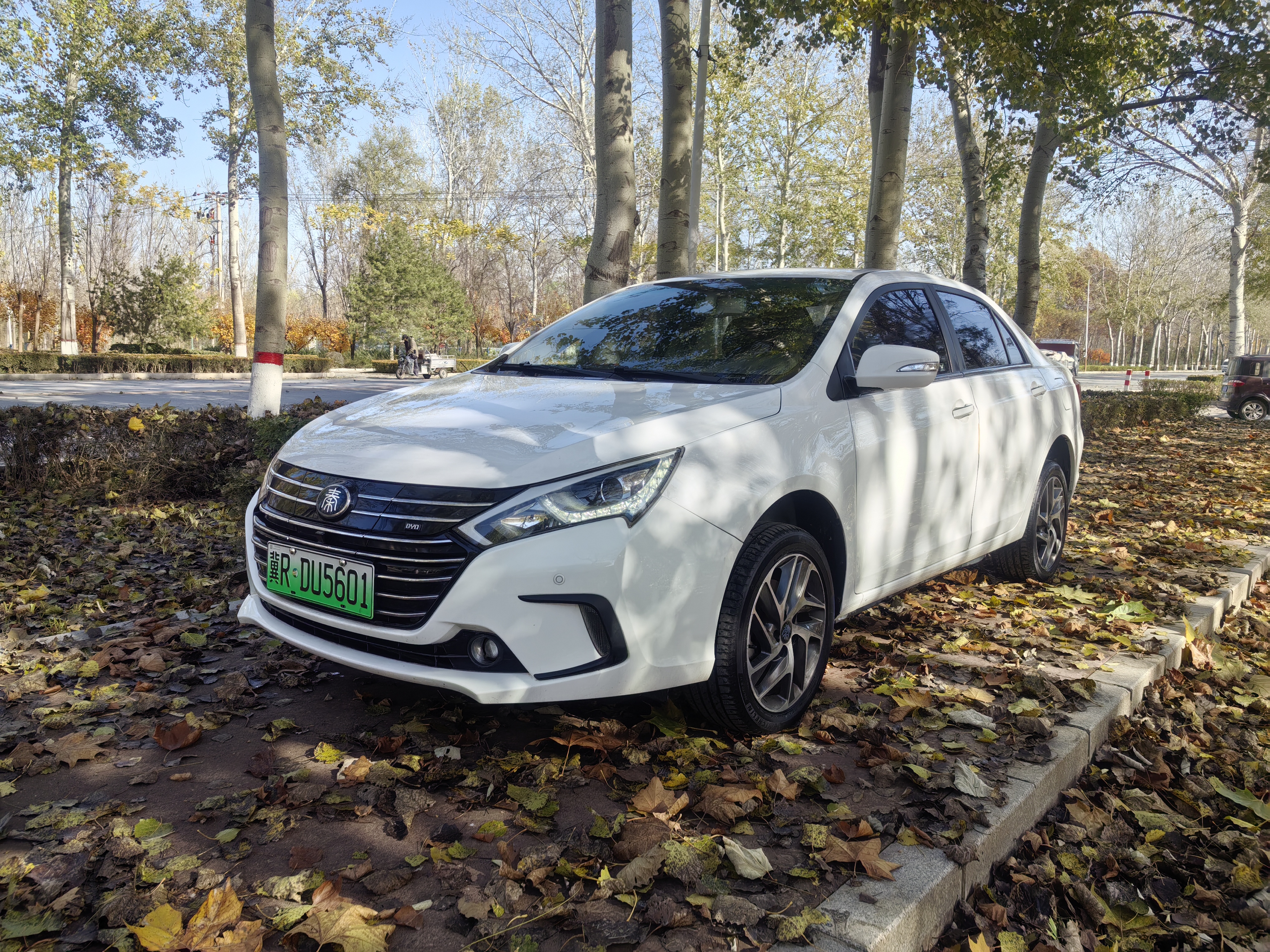 BYD Qin New Energy 2018 car image #2