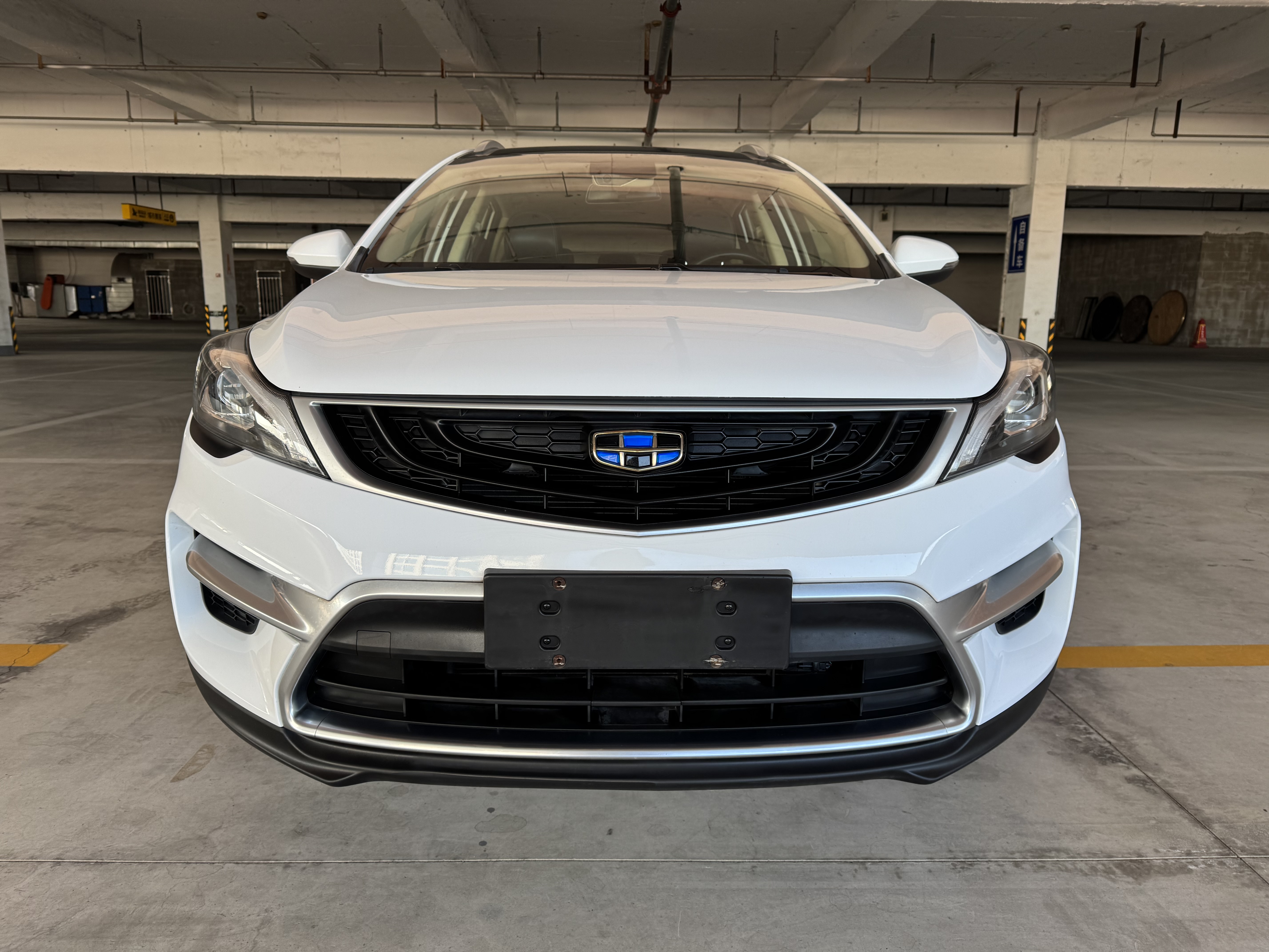 Emgrand GS 2019 #2 Emgrand GS 2019 car image #2