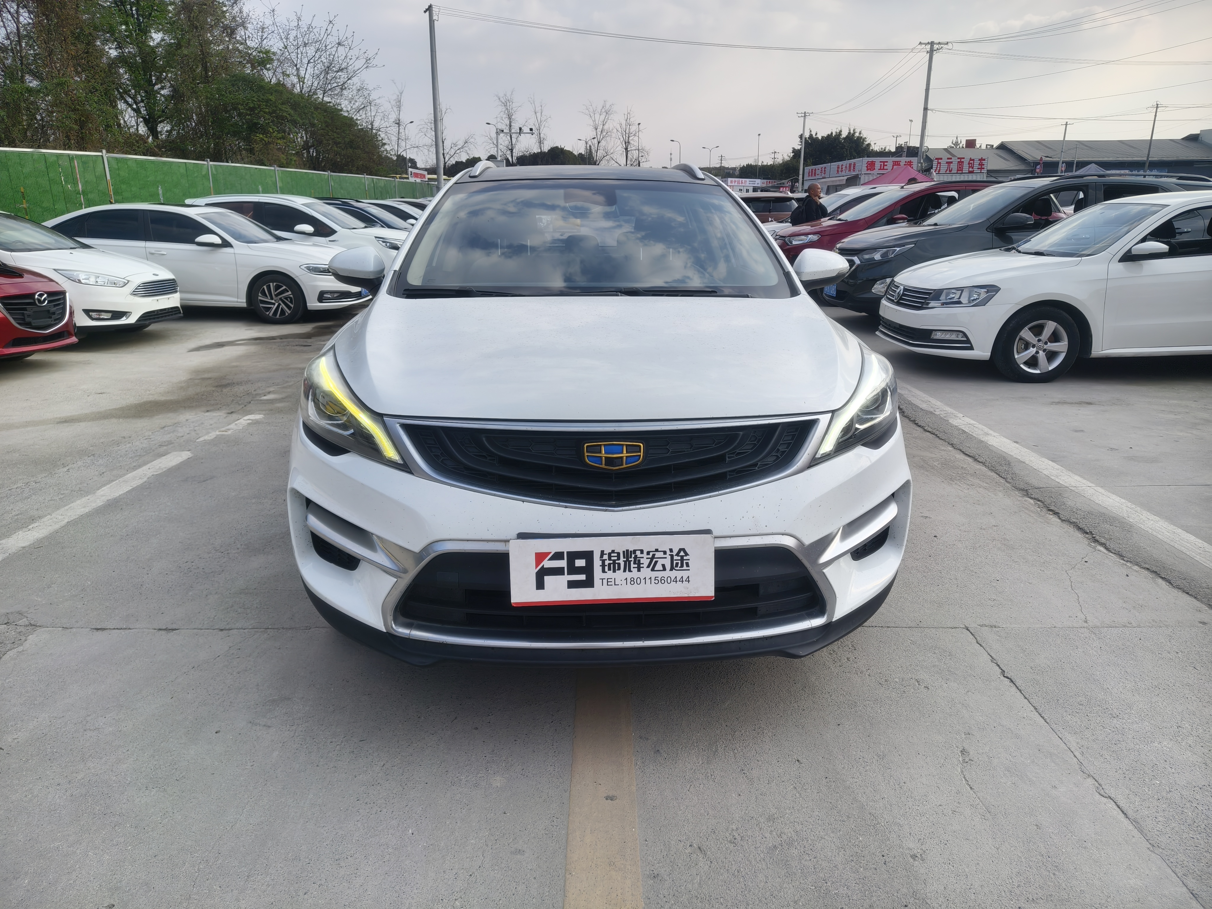 Emgrand GS 2019 #2 Emgrand GS 2019 car image #2