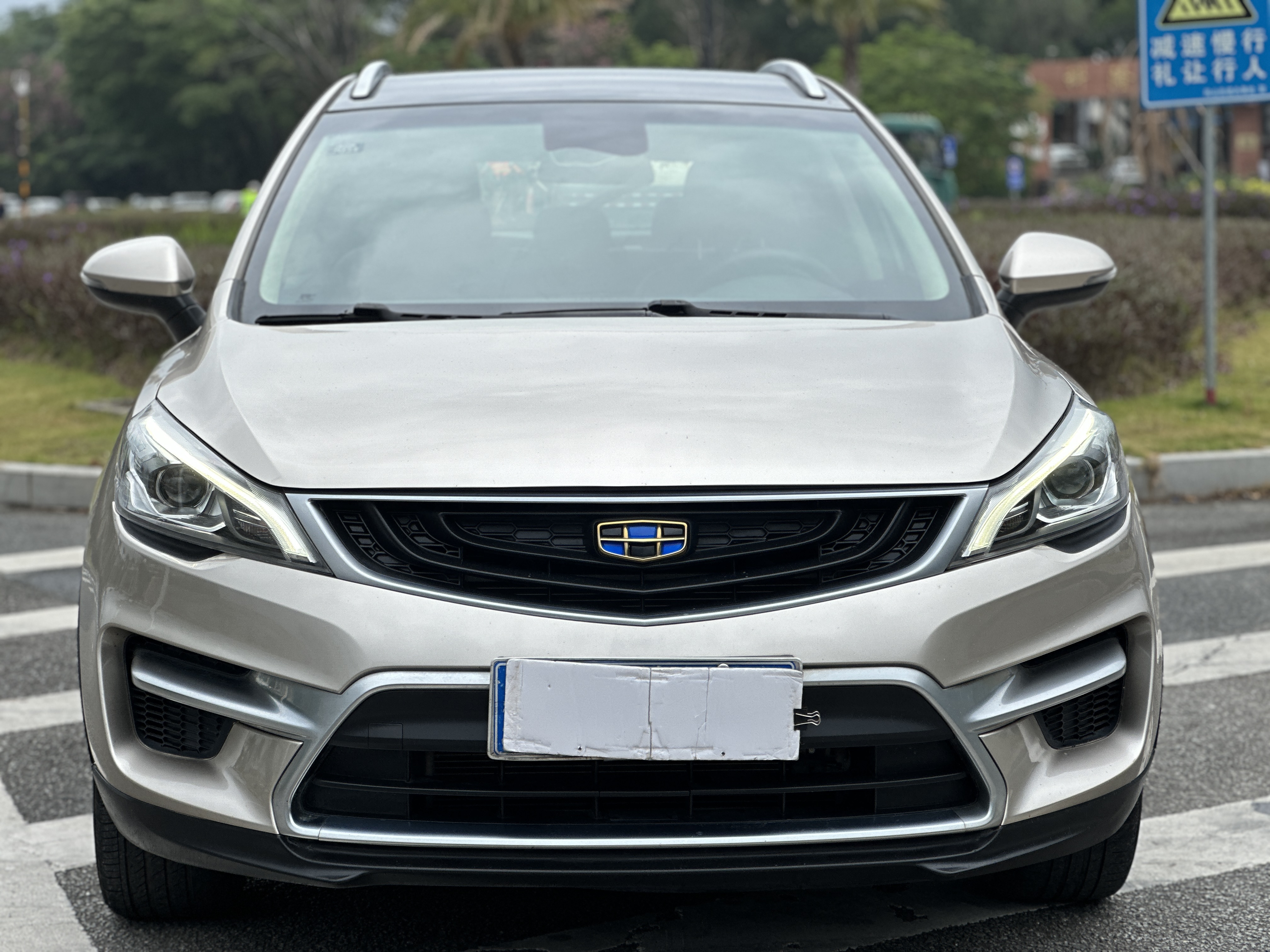 Emgrand GS 2019 #2 Emgrand GS 2019 car image #2