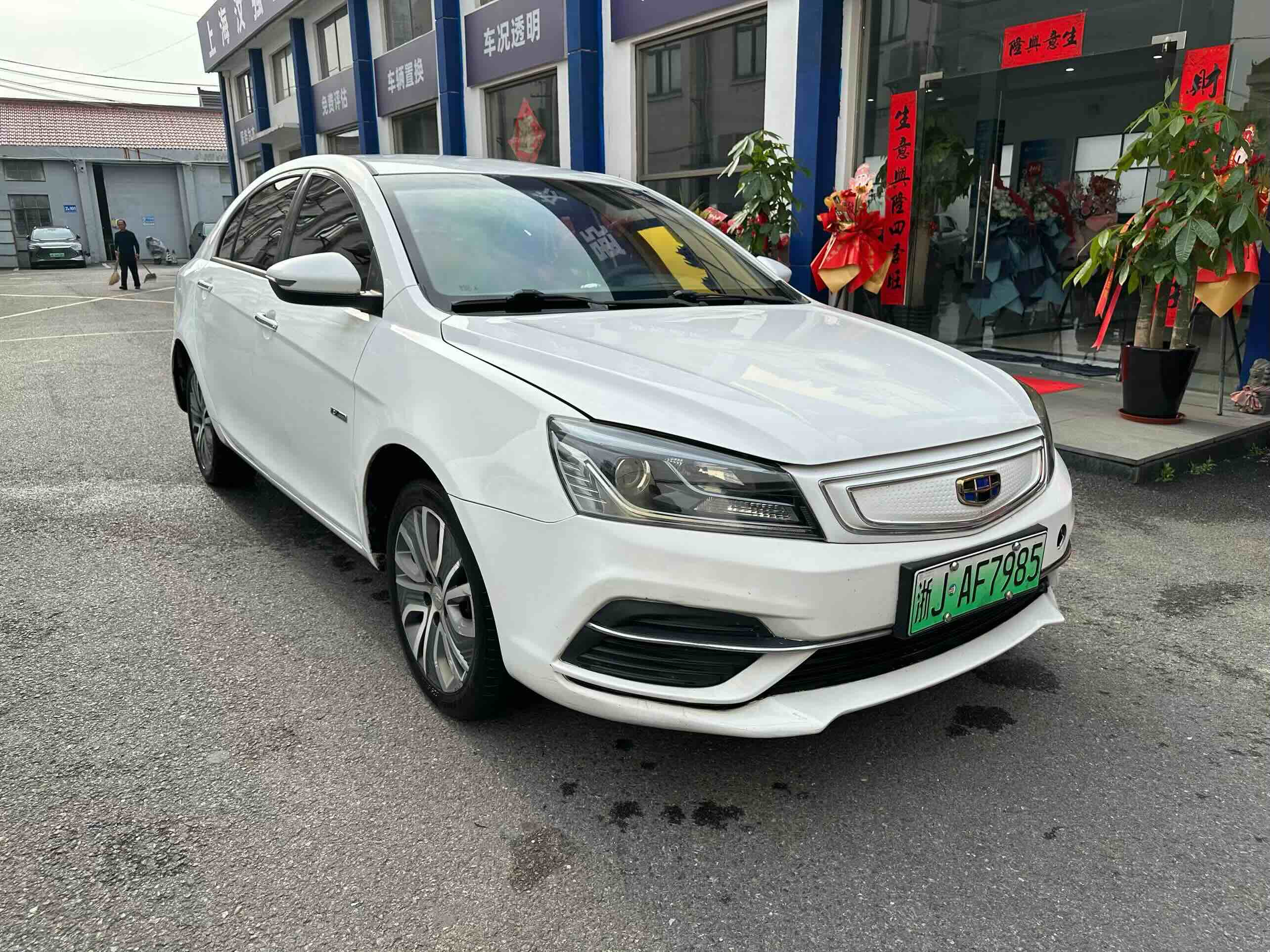 GEELY Emgrand New Energy 2018 immagine di auto #2