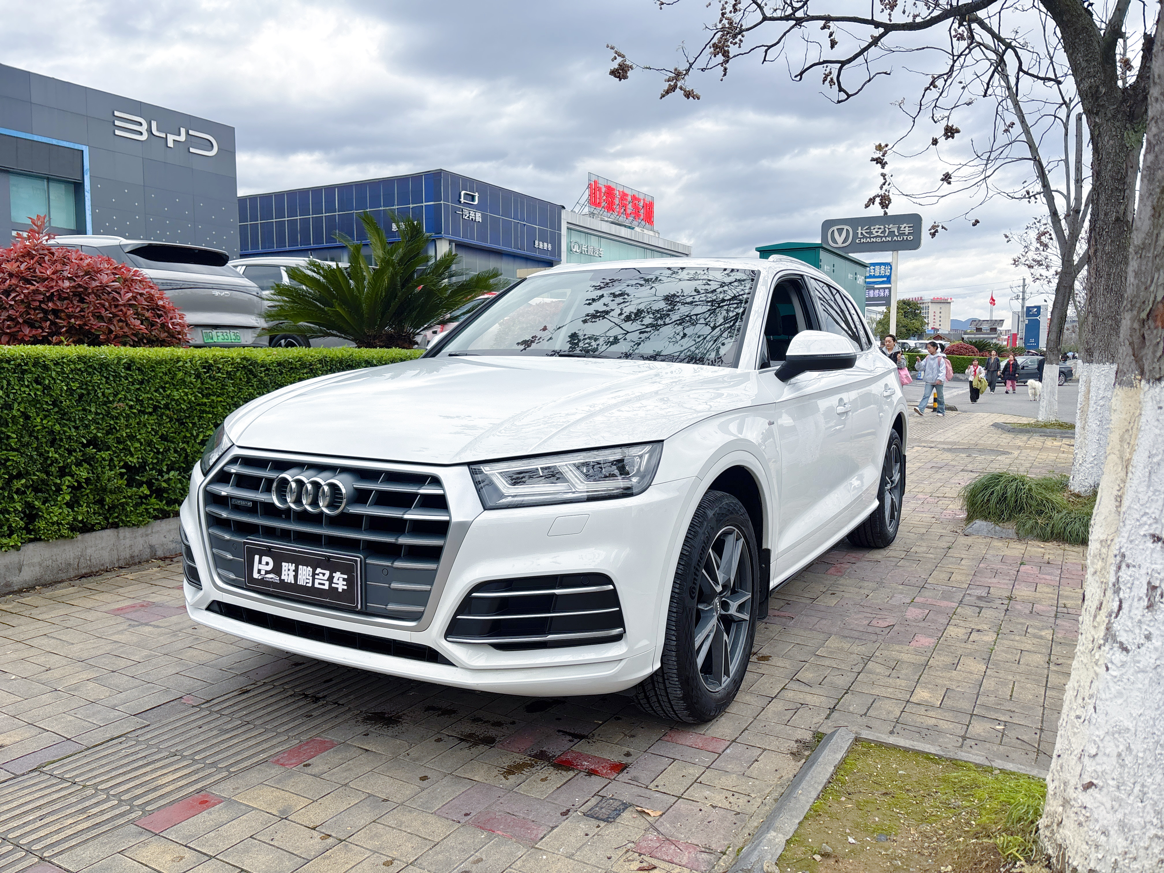 Audi Q5L 2019 imagem de carro #2