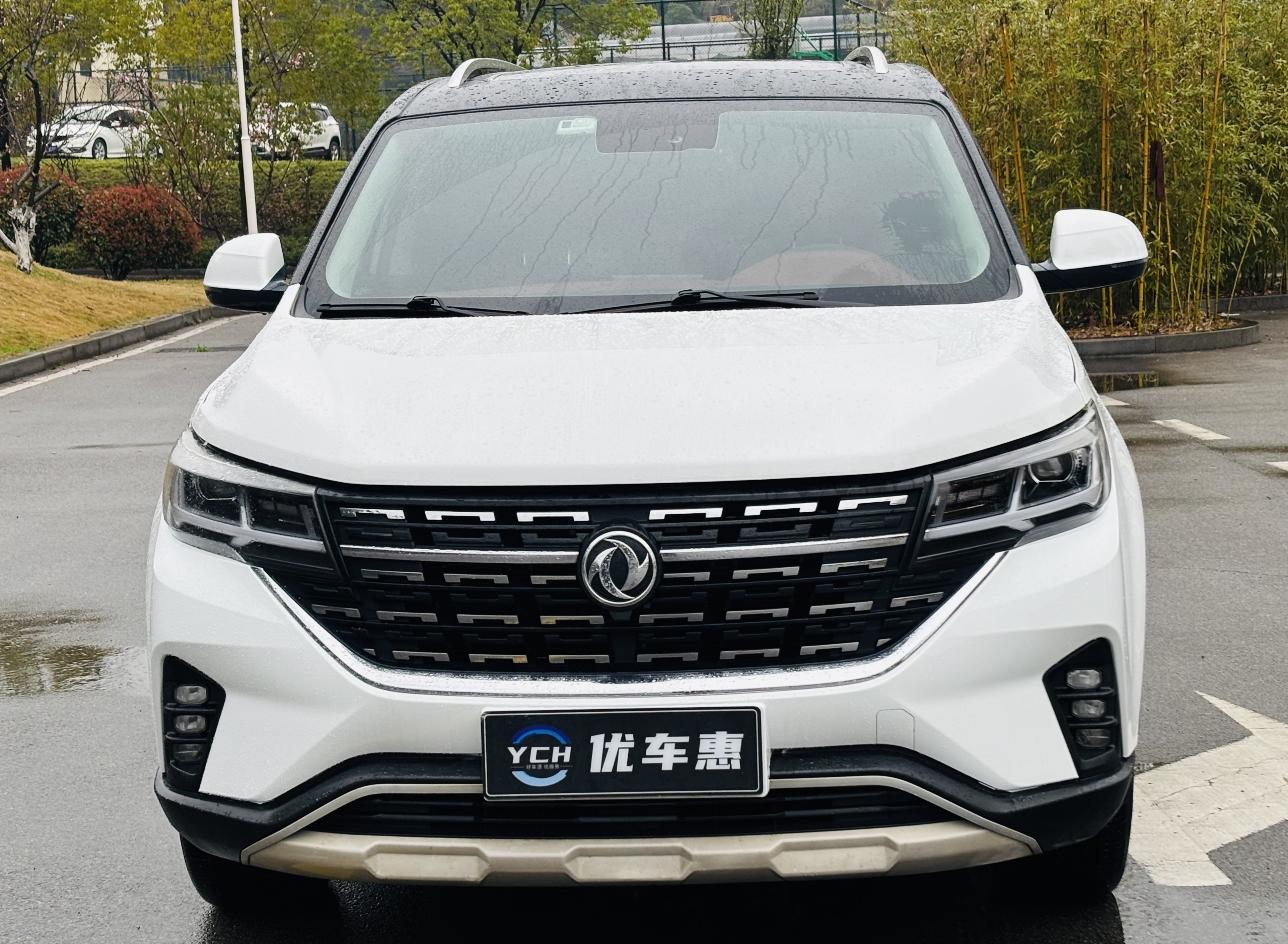T5 2019 #2 T5 2019 immagine di auto #2