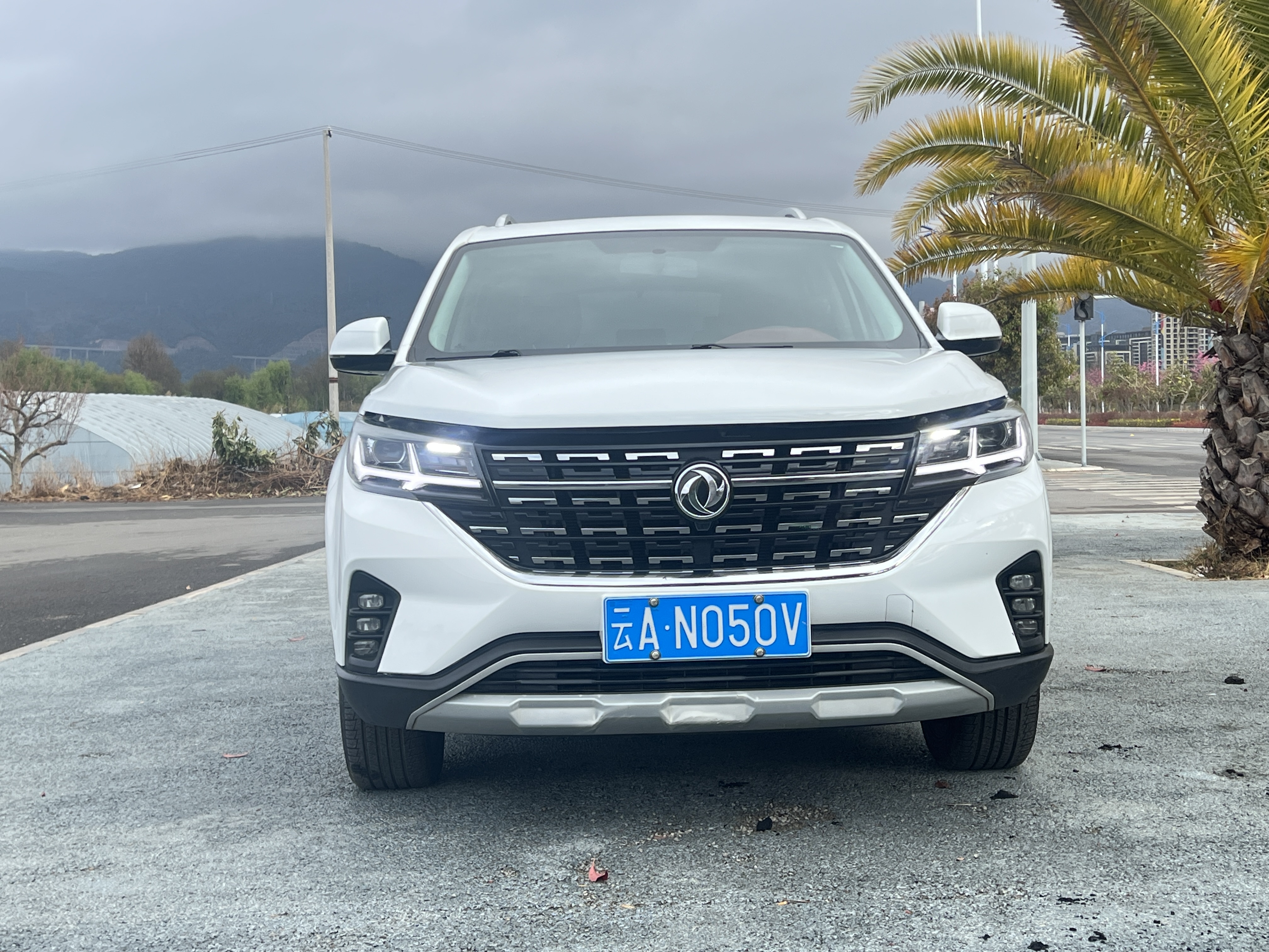 T5 2019 #2 T5 2019 car image #2