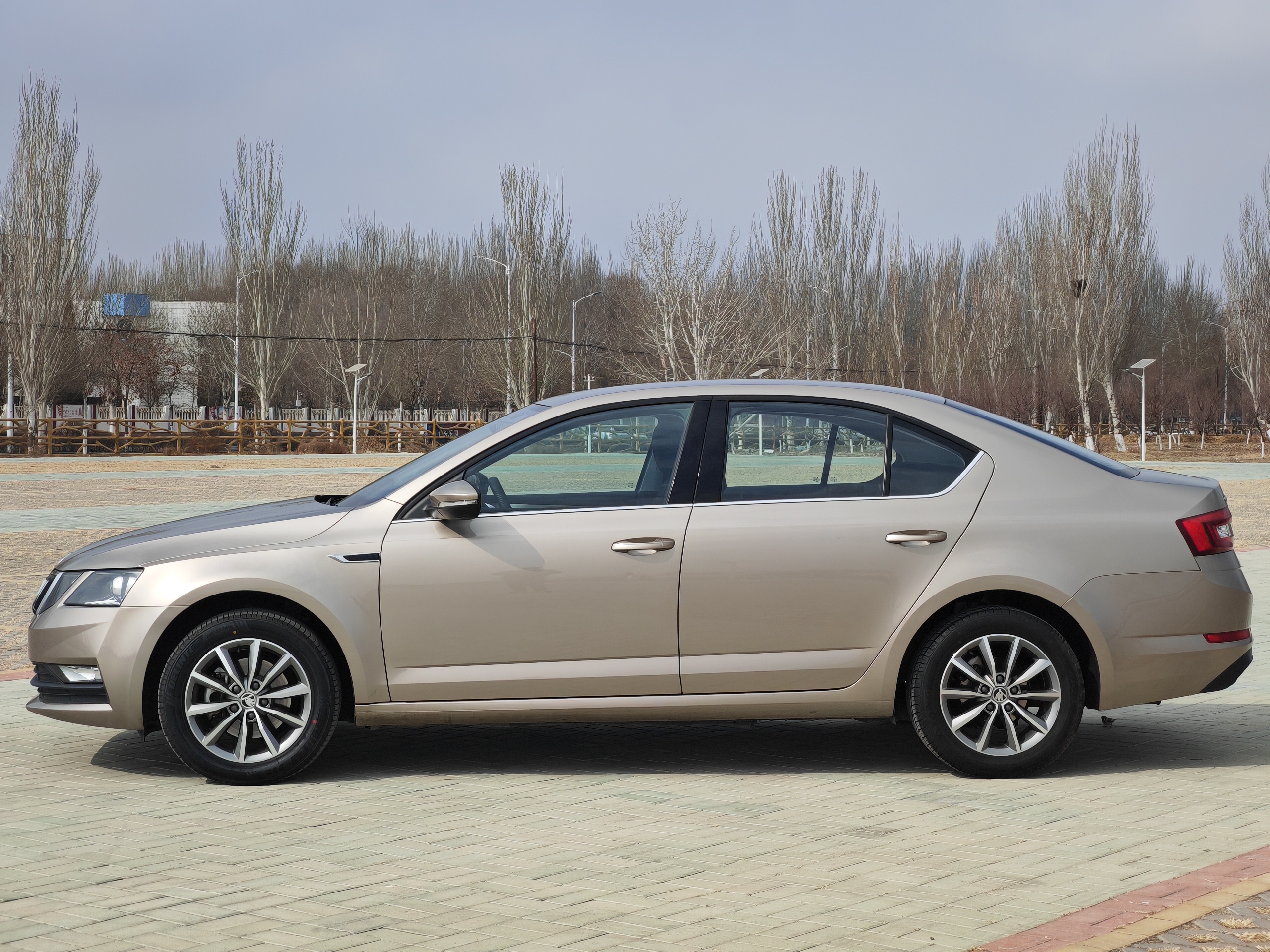 Skoda Octavia 2019 car image #2