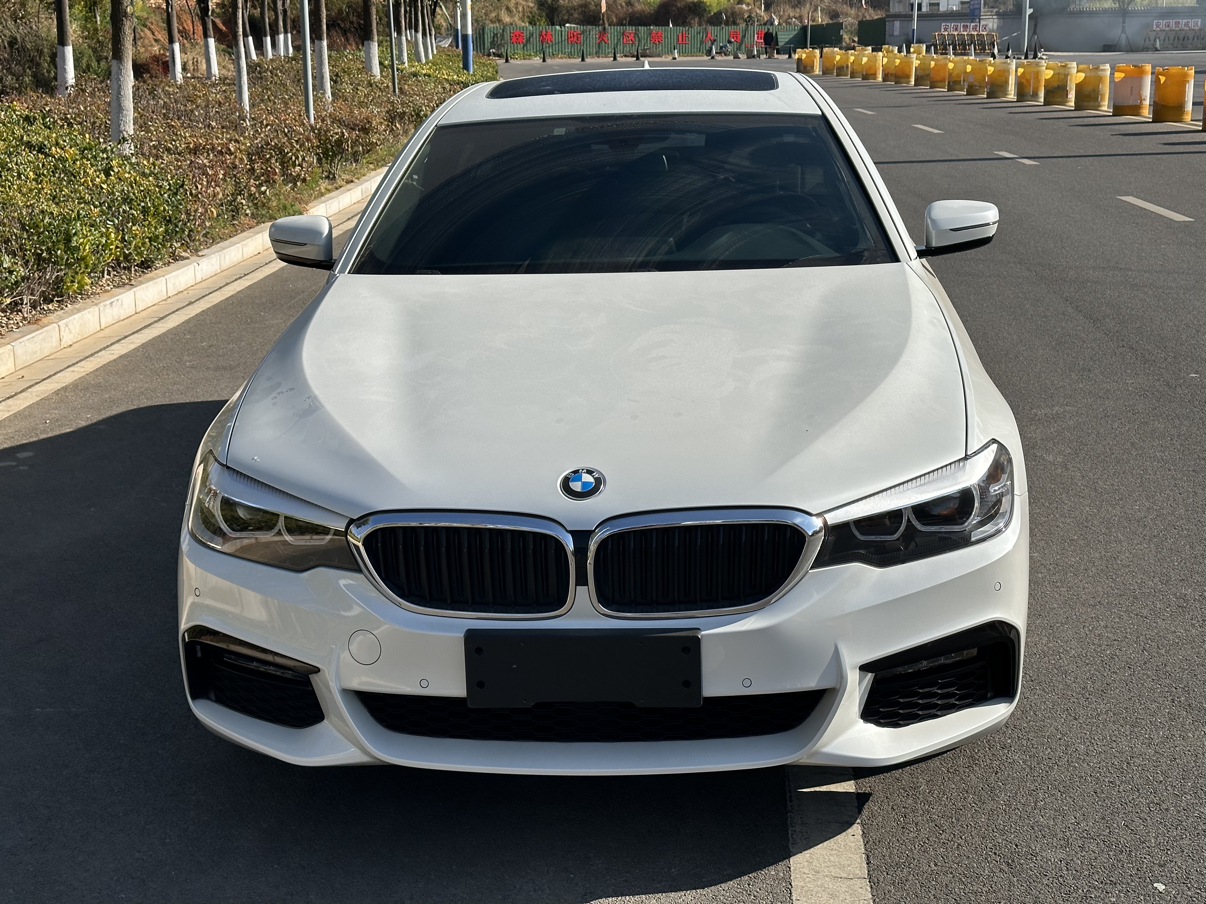 BMW 5 Series 2019 car image #2