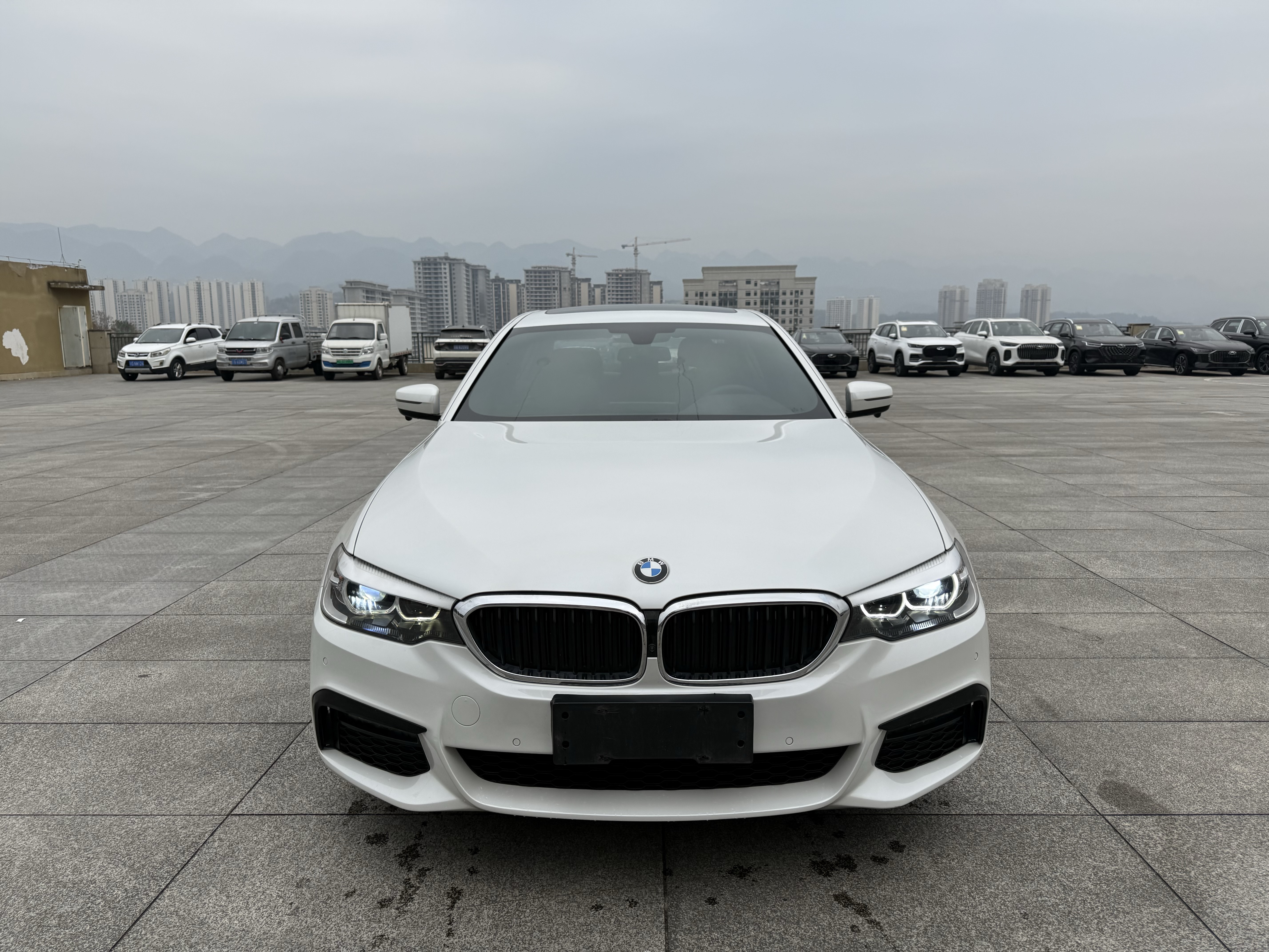 BMW 5 Series 2019 car image #2