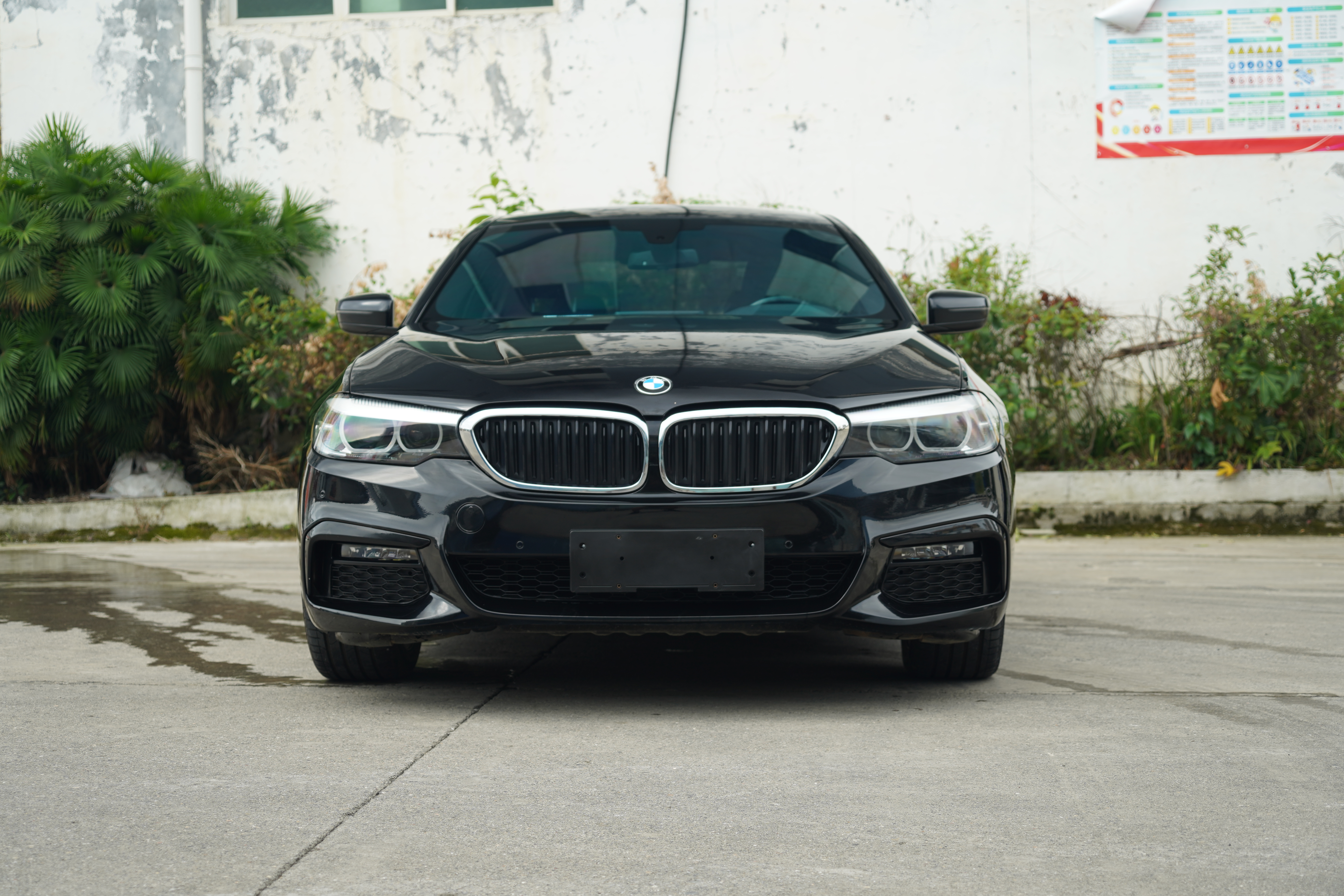BMW 5 Series 2019 car image #2