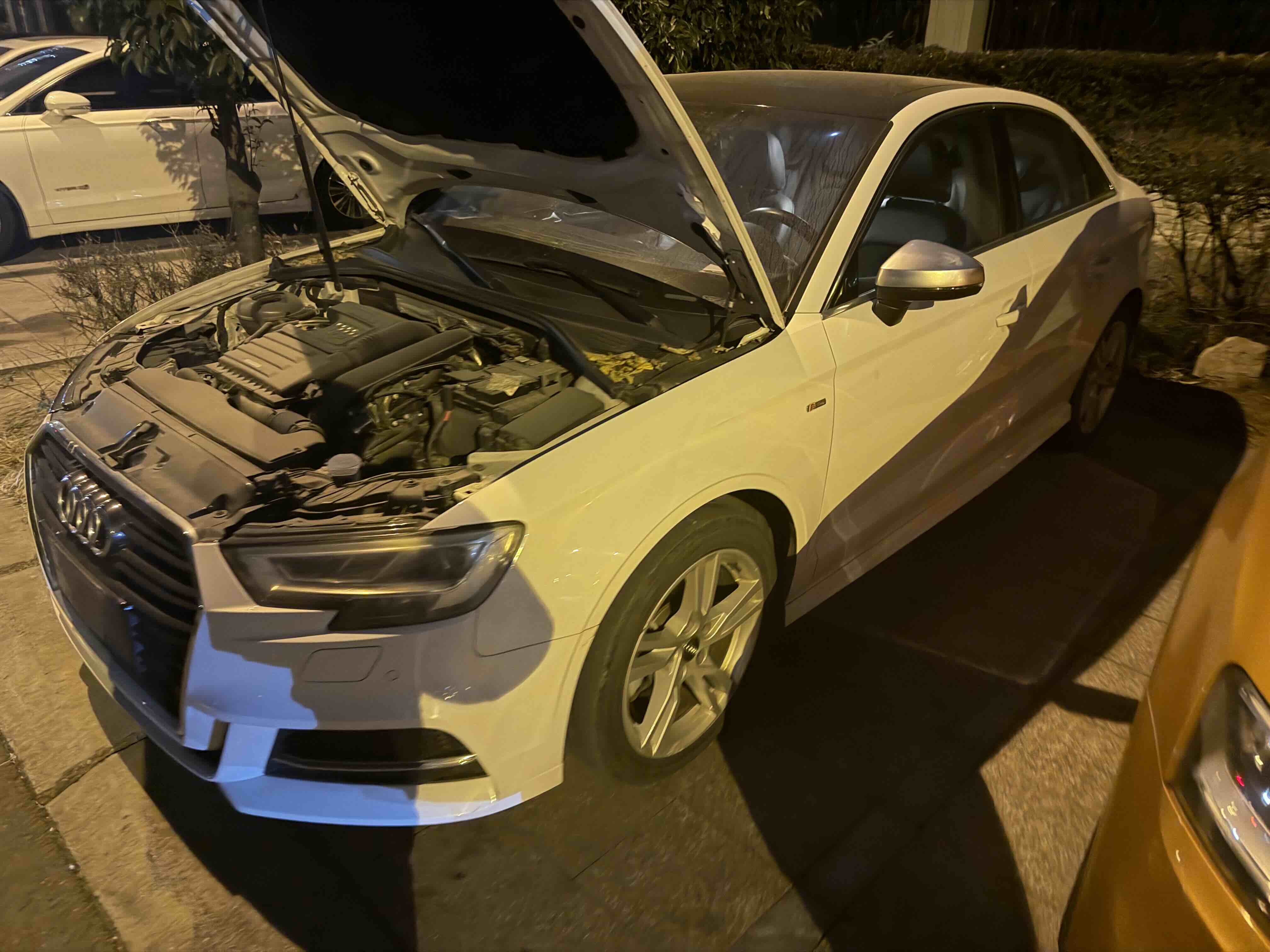 Audi A3 2019 car image #2