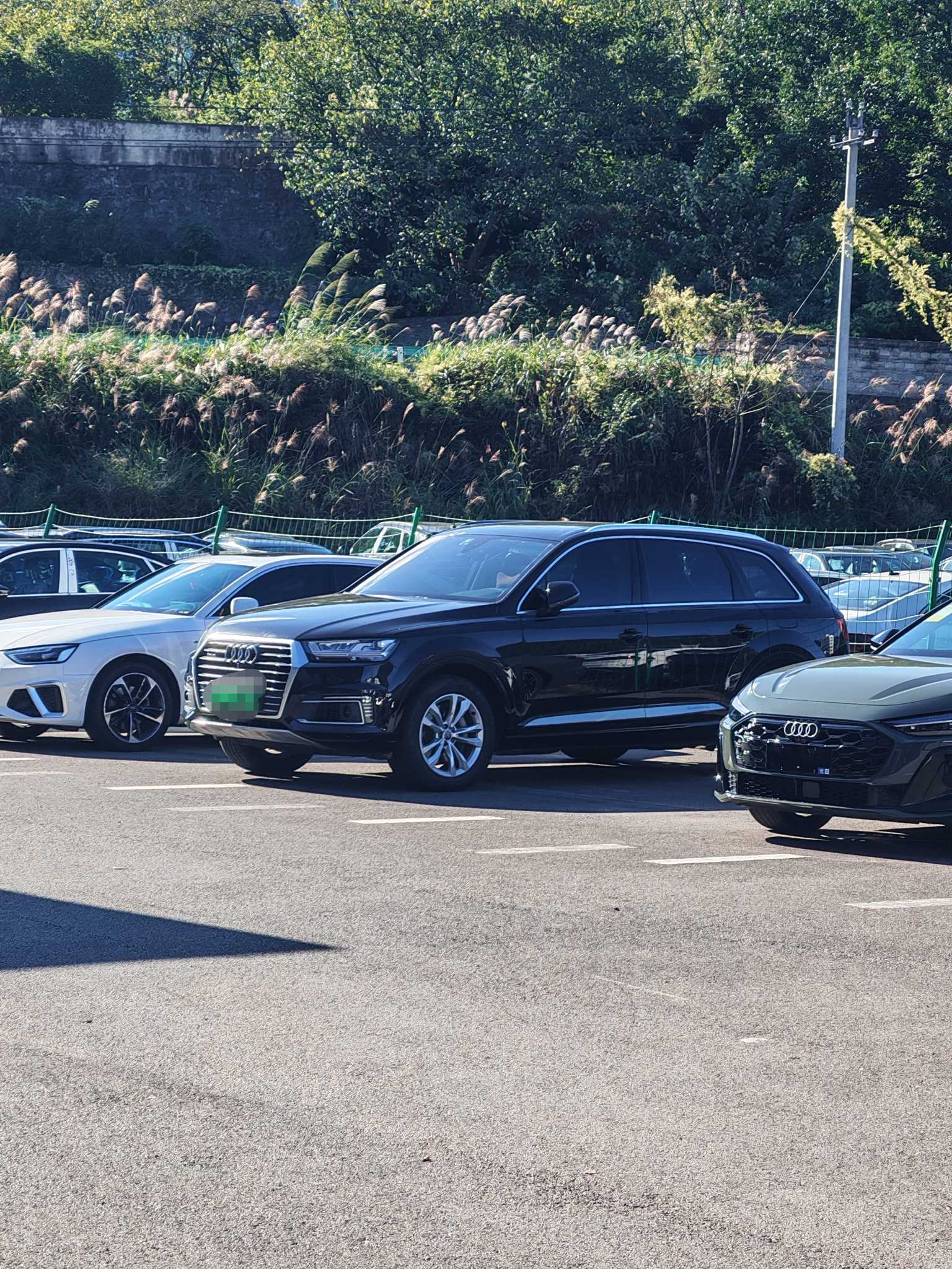 Audi Q7 New Energy 2019 car image #2