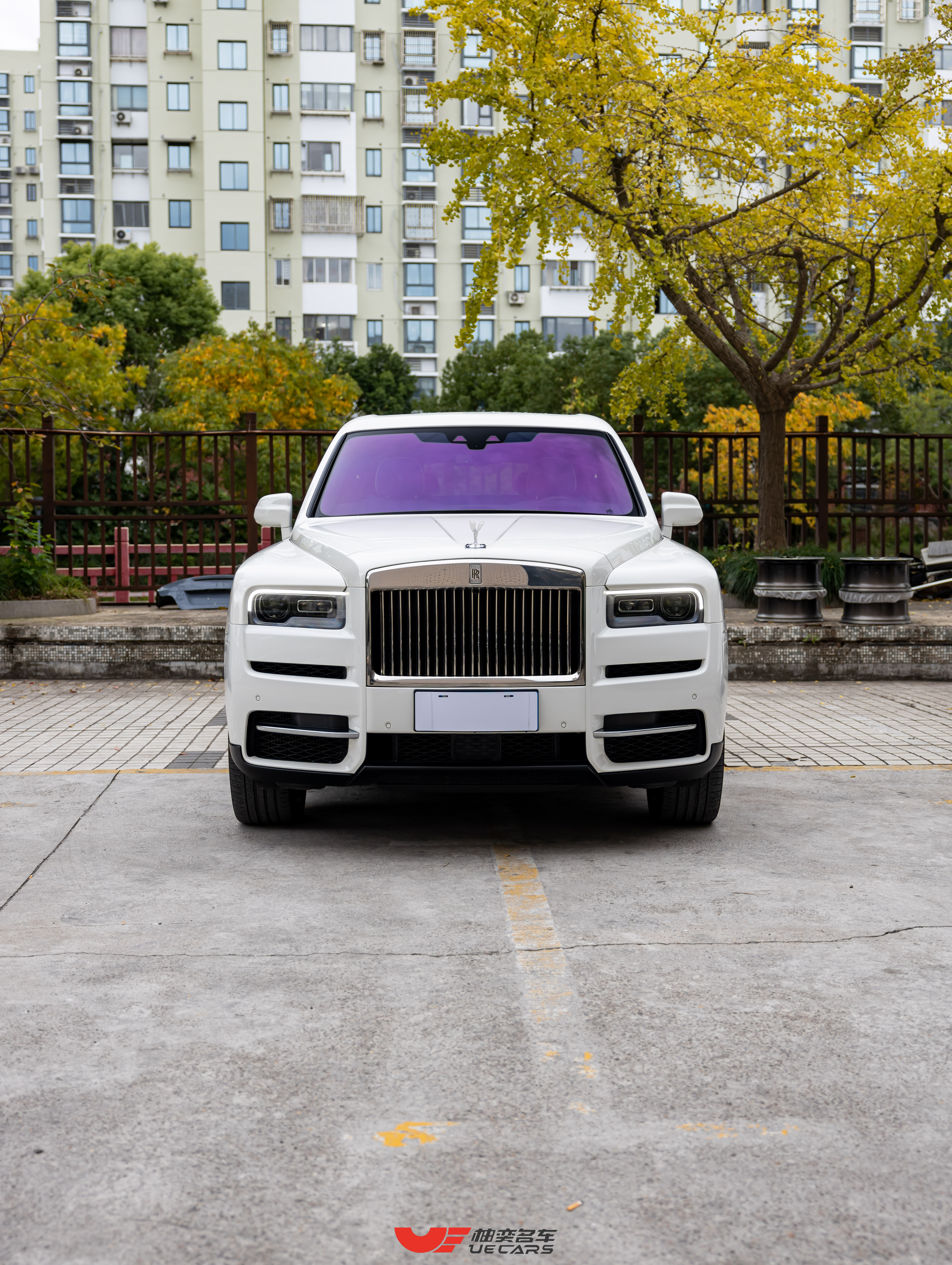 Rolls-Royce Cullinan 2021 immagine di auto #2