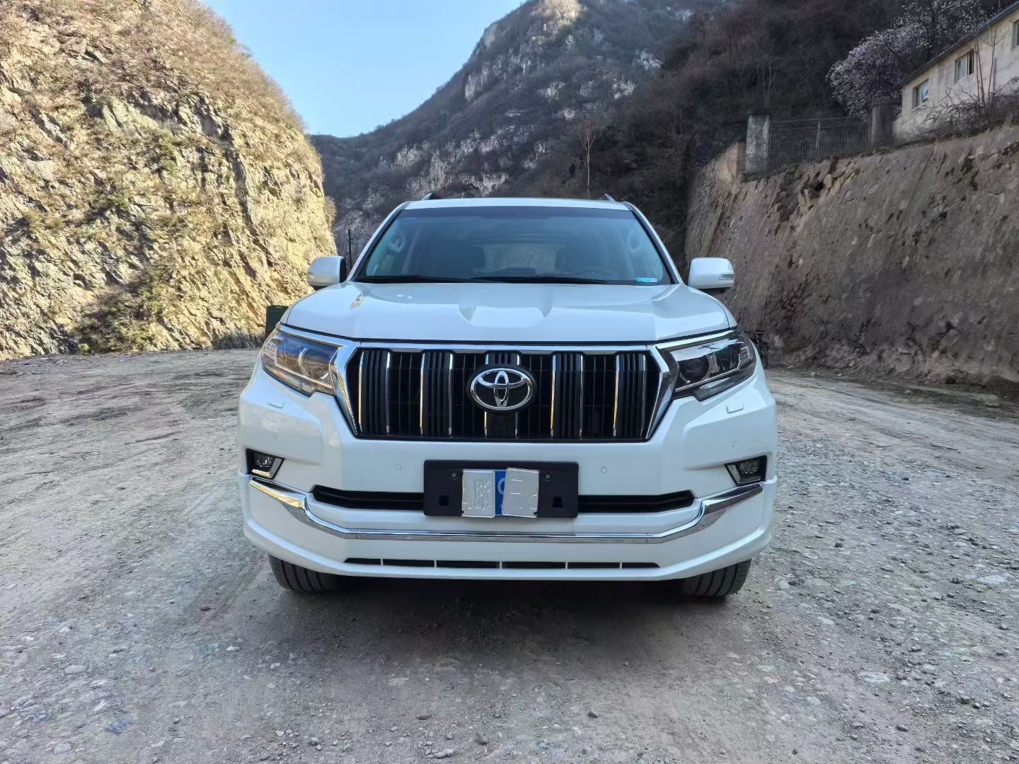 Toyota Land Cruiser Prado 2020 car image #2