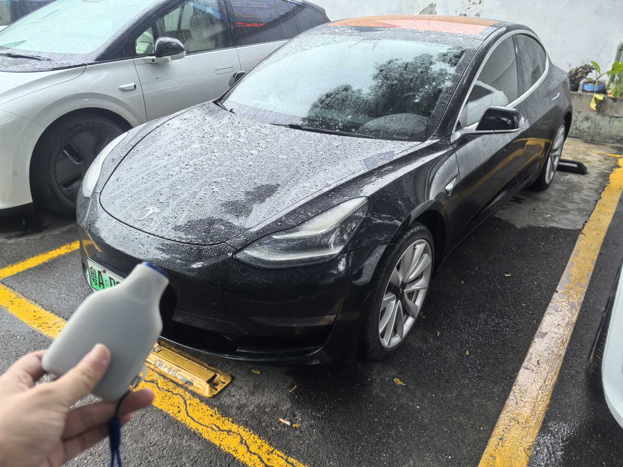 特斯拉 Model 3(进口) 2019 汽车图片 #2