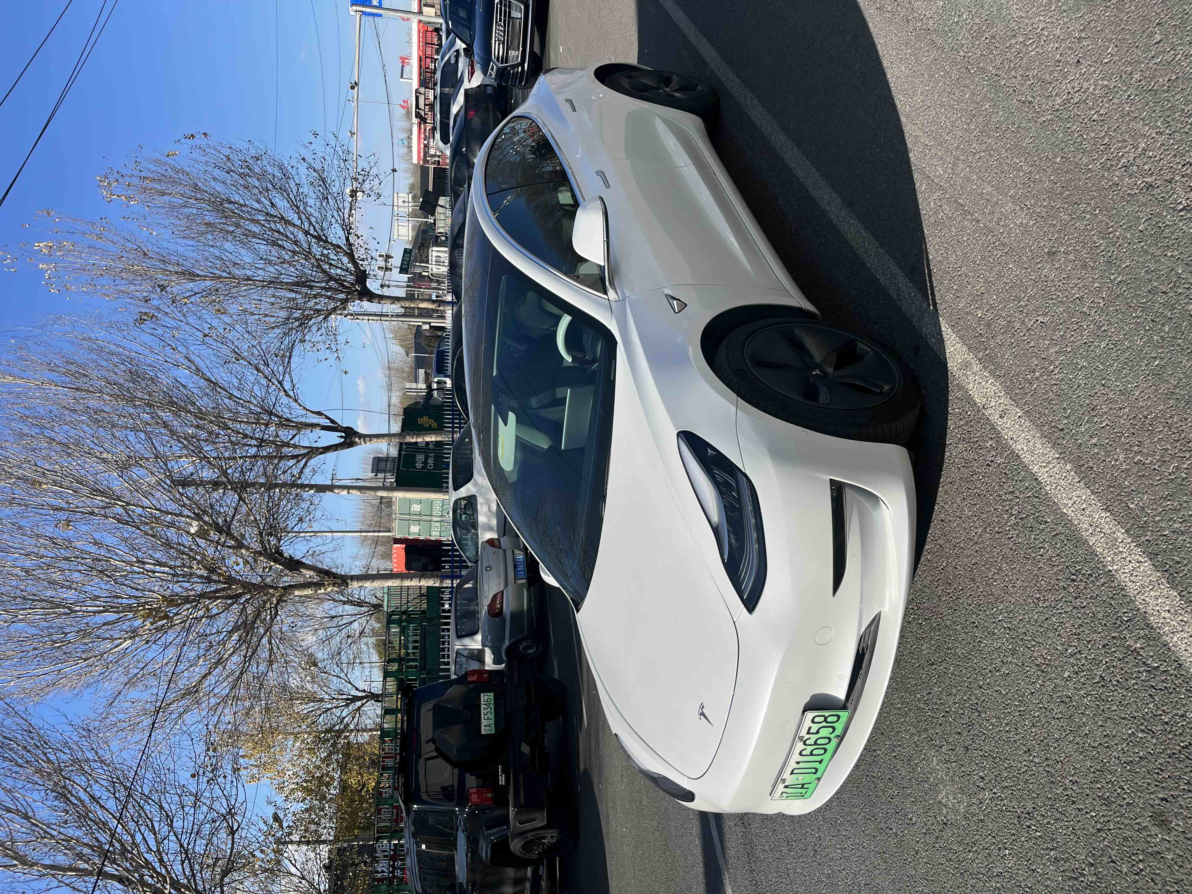 特斯拉 Model 3(进口) 2019 汽车图片 #2