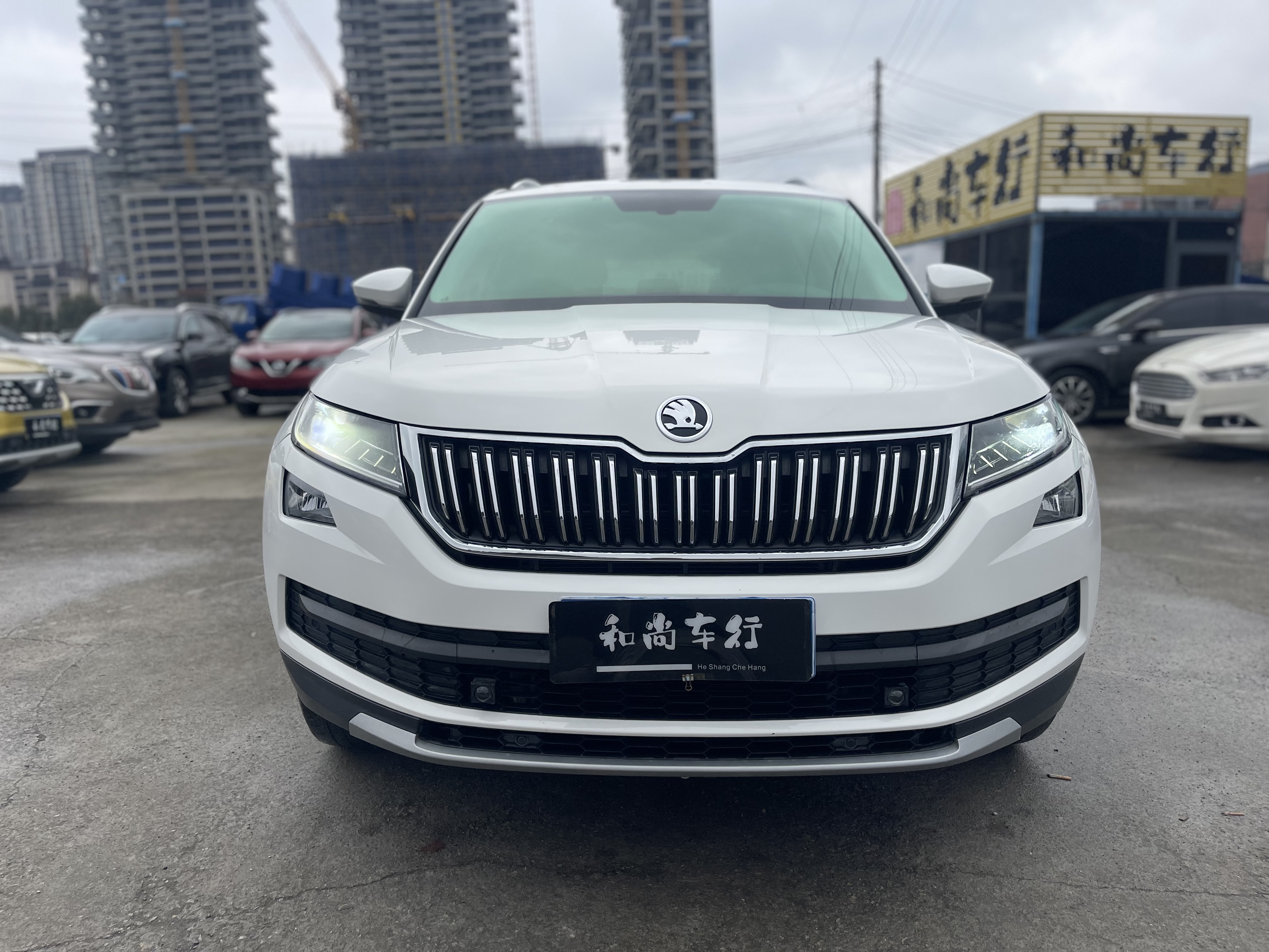 Skoda Kodiaq 2019 imagem de carro #2