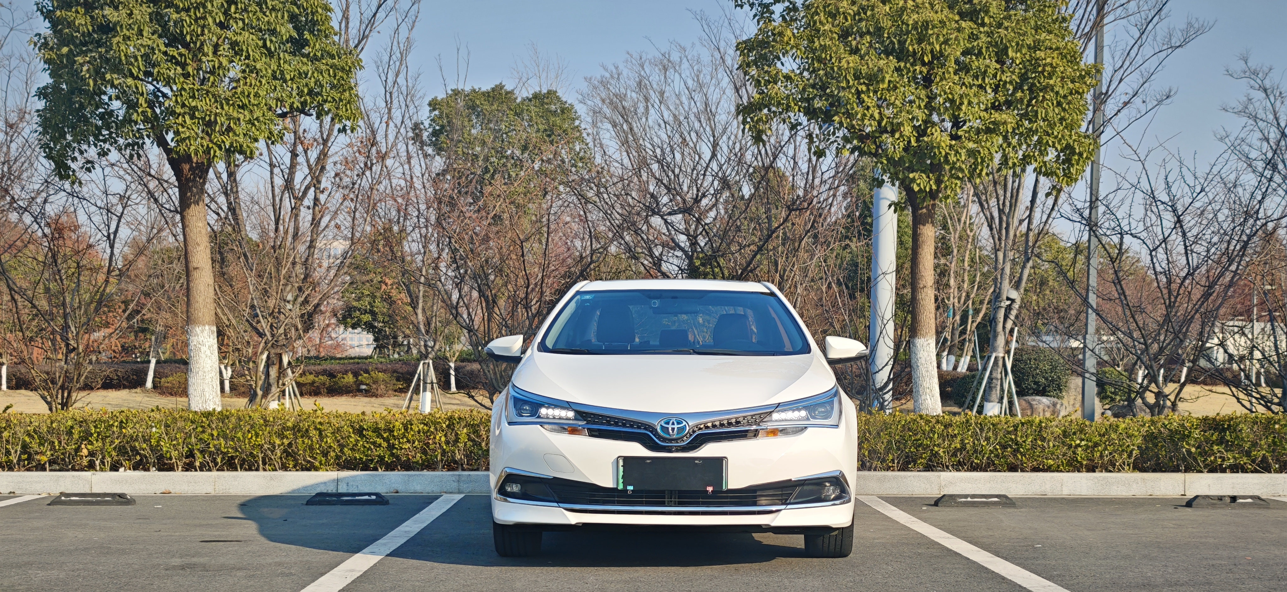 Toyota Corolla Hybird E+ 2020 immagine di auto #2