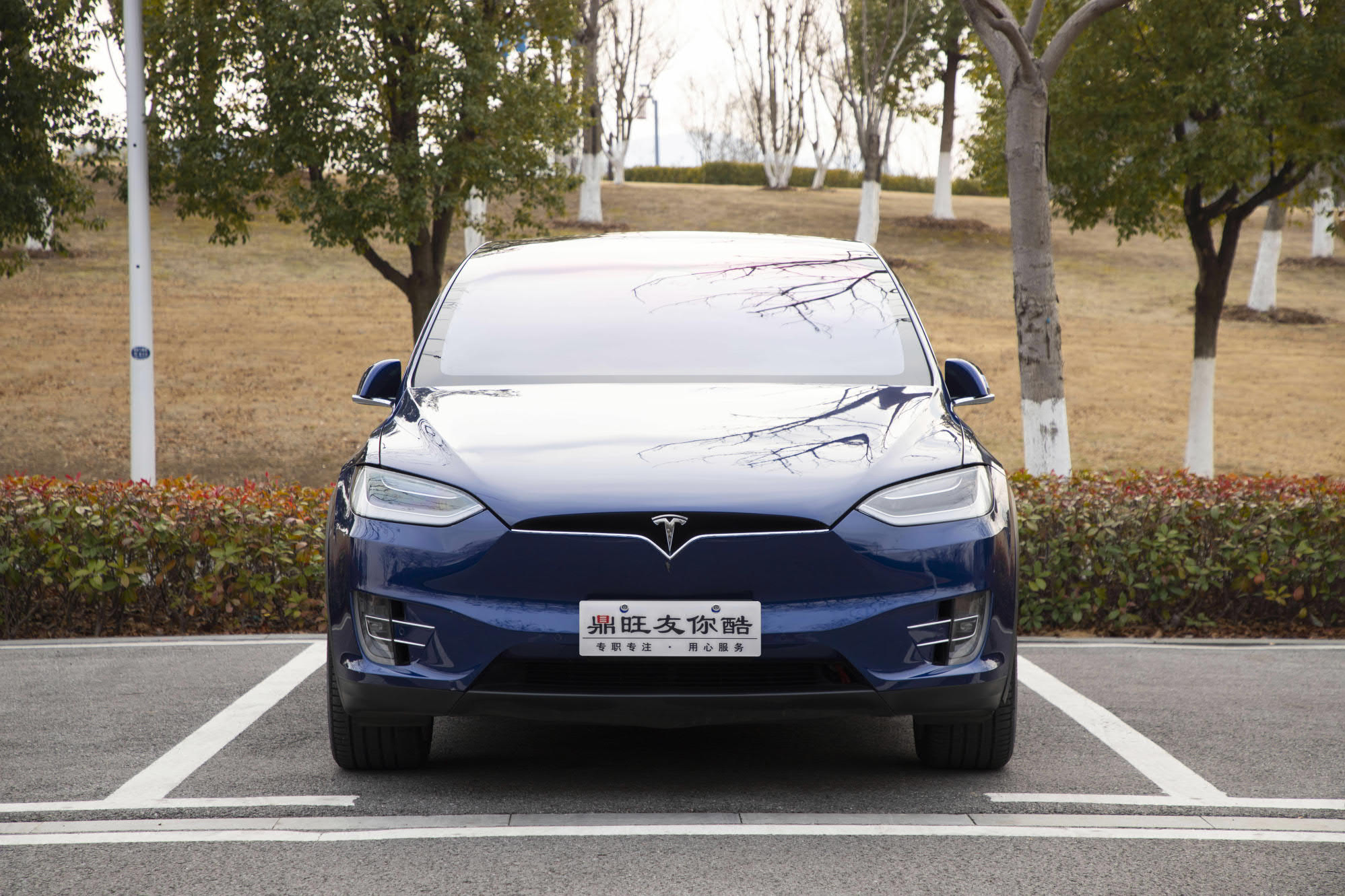 特斯拉 Model X 2019 汽车图片 #2
