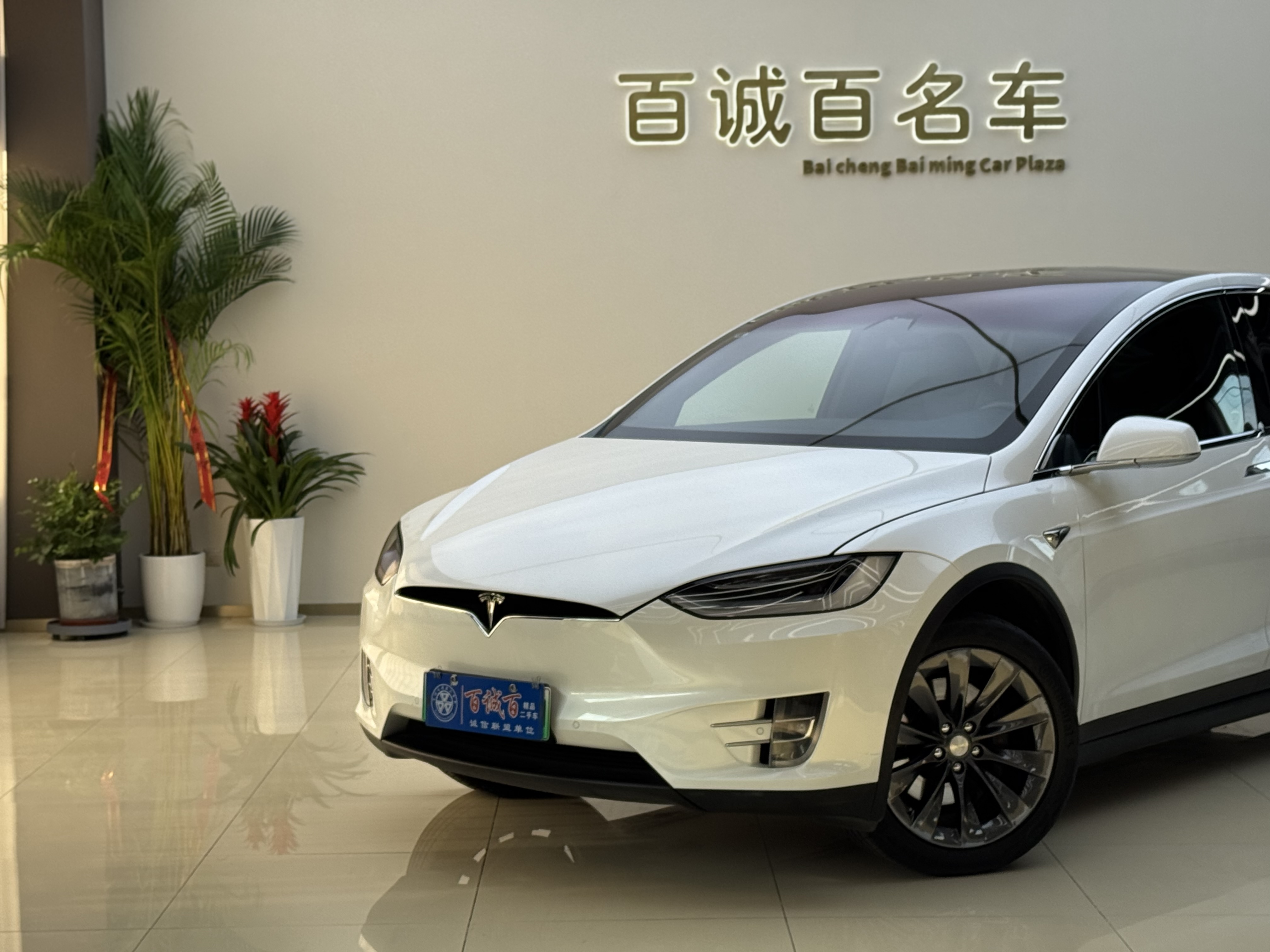 Tesla Model X 2020 #2 Tesla Model X 2020 car image #2