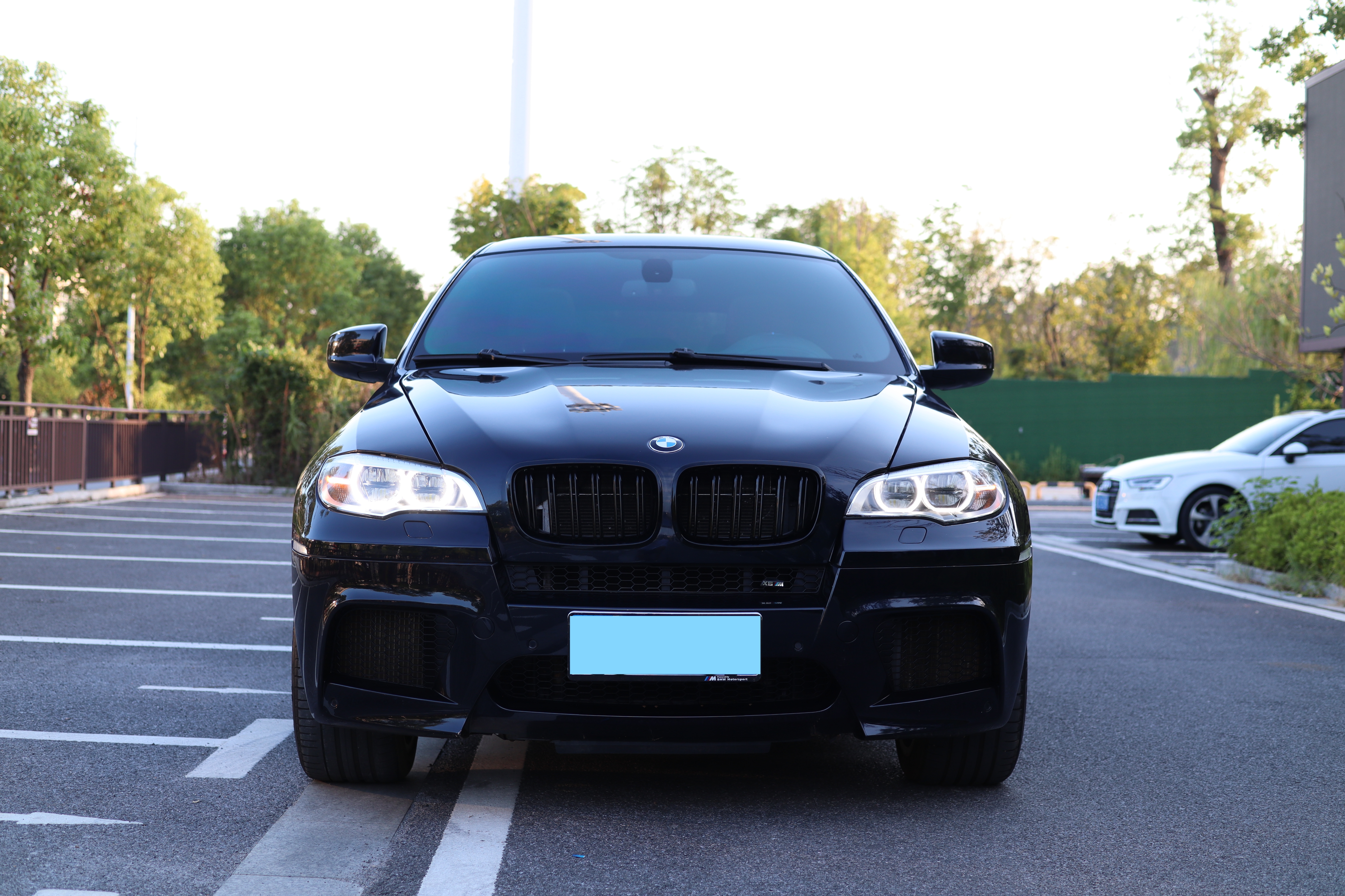 BMW X6 2012 car image #2