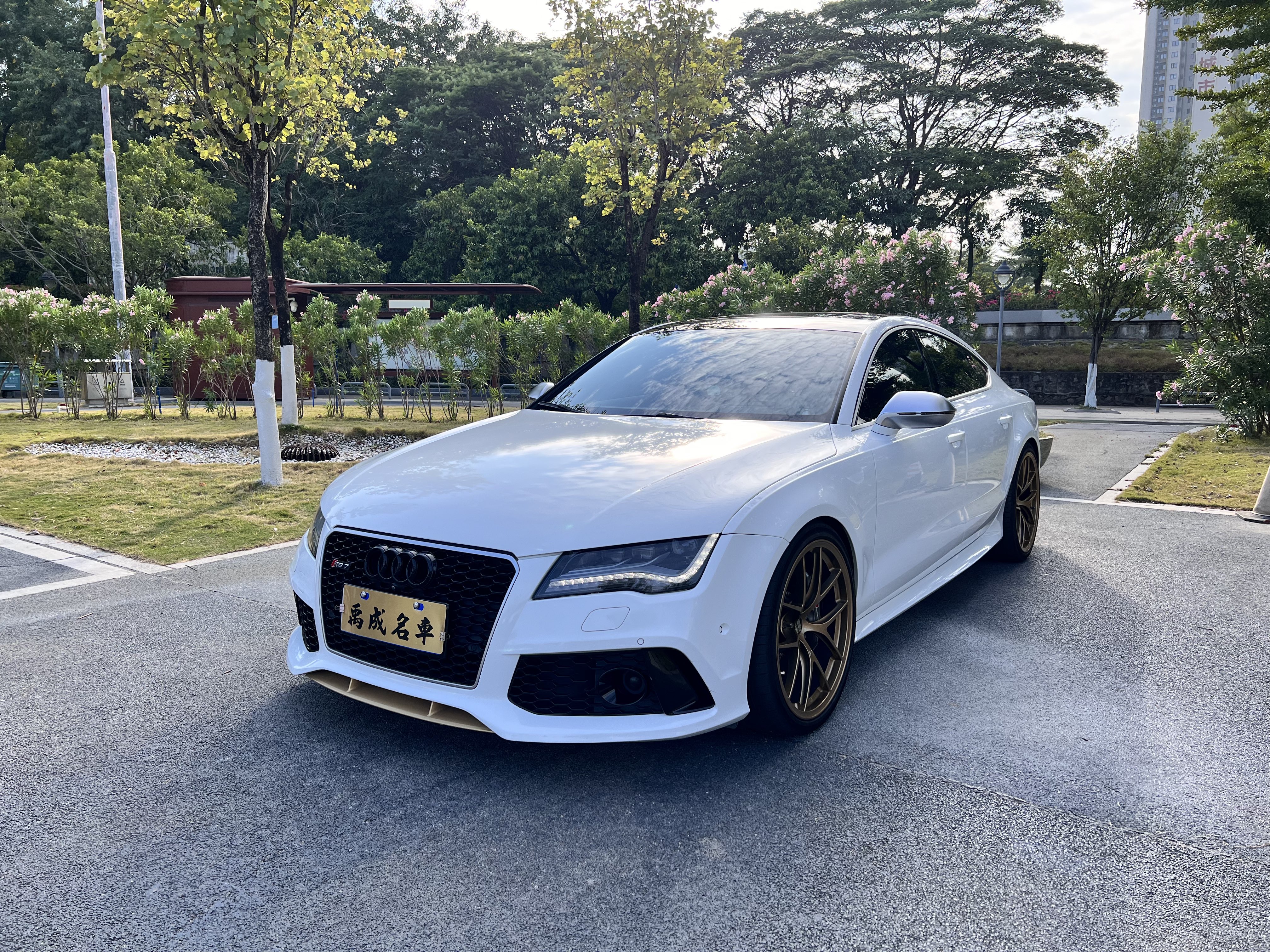 Audi RS 7 2015 car image #2