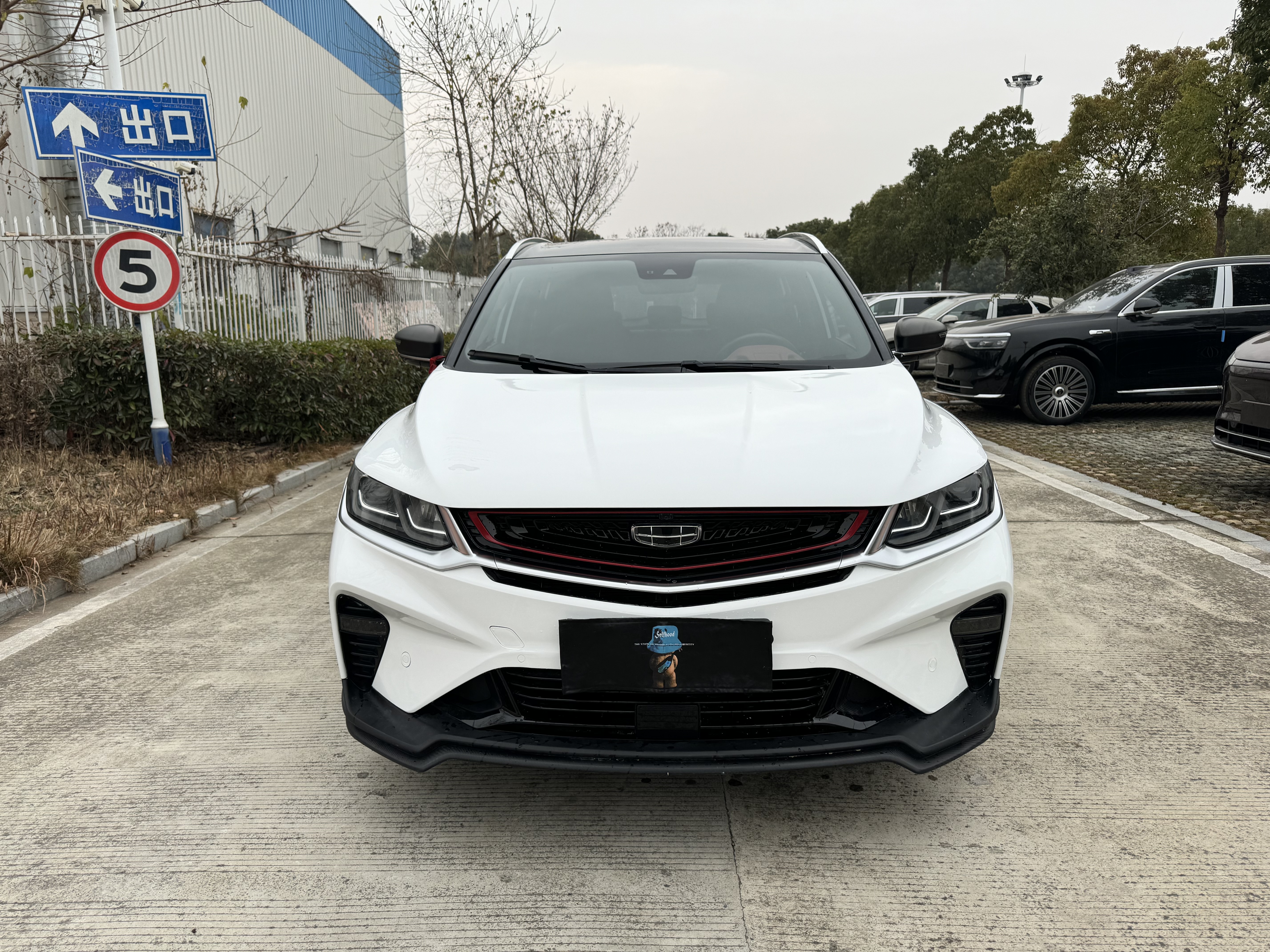 GEELY Coolray 2019 car image #2