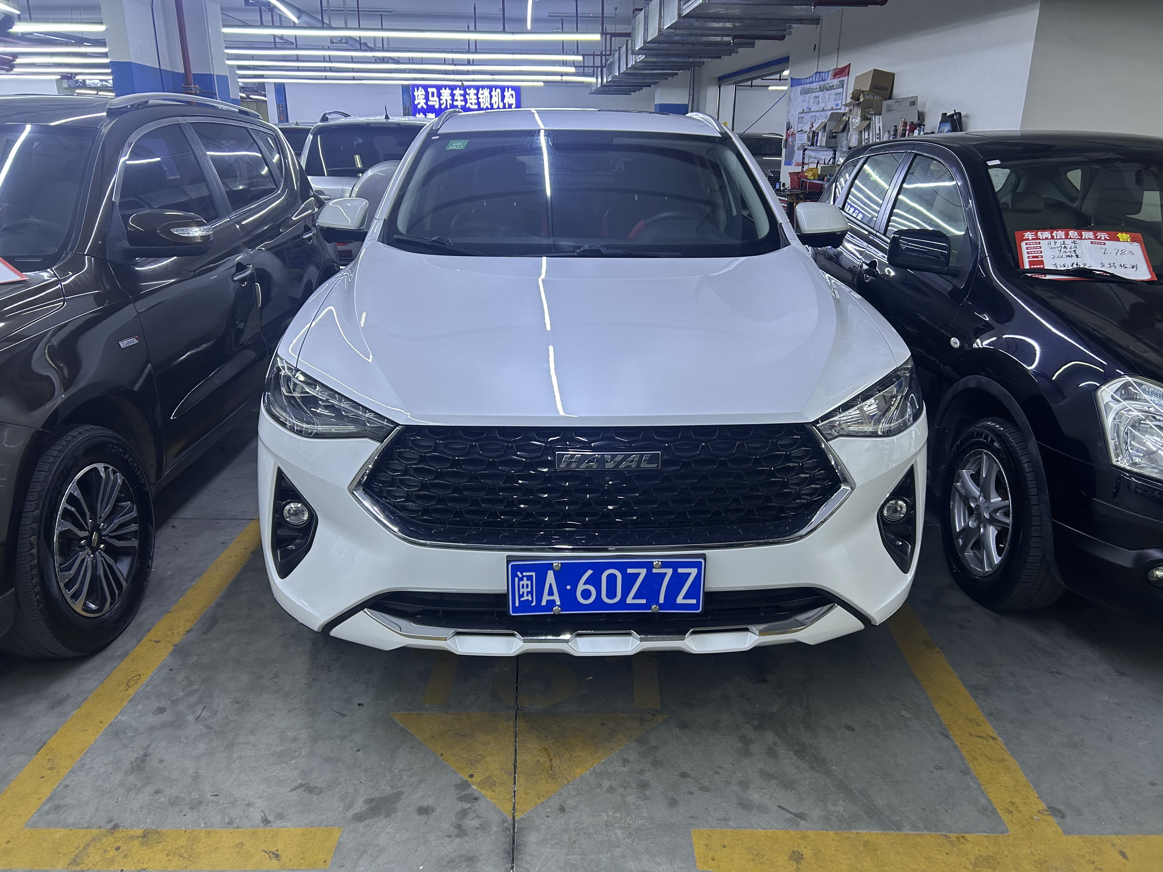 Haval 2019 #2 Haval 2019 car image #2