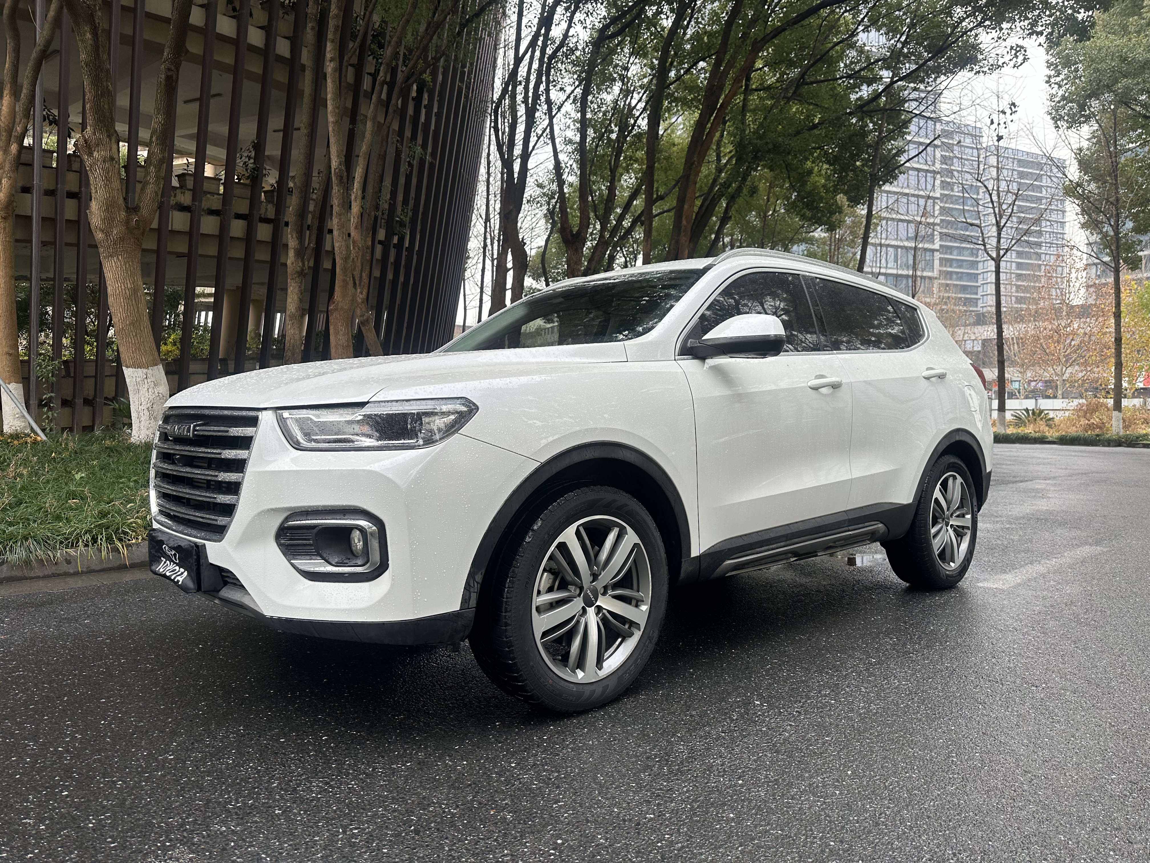 Haval 2019 #2 Haval 2019 car image #2