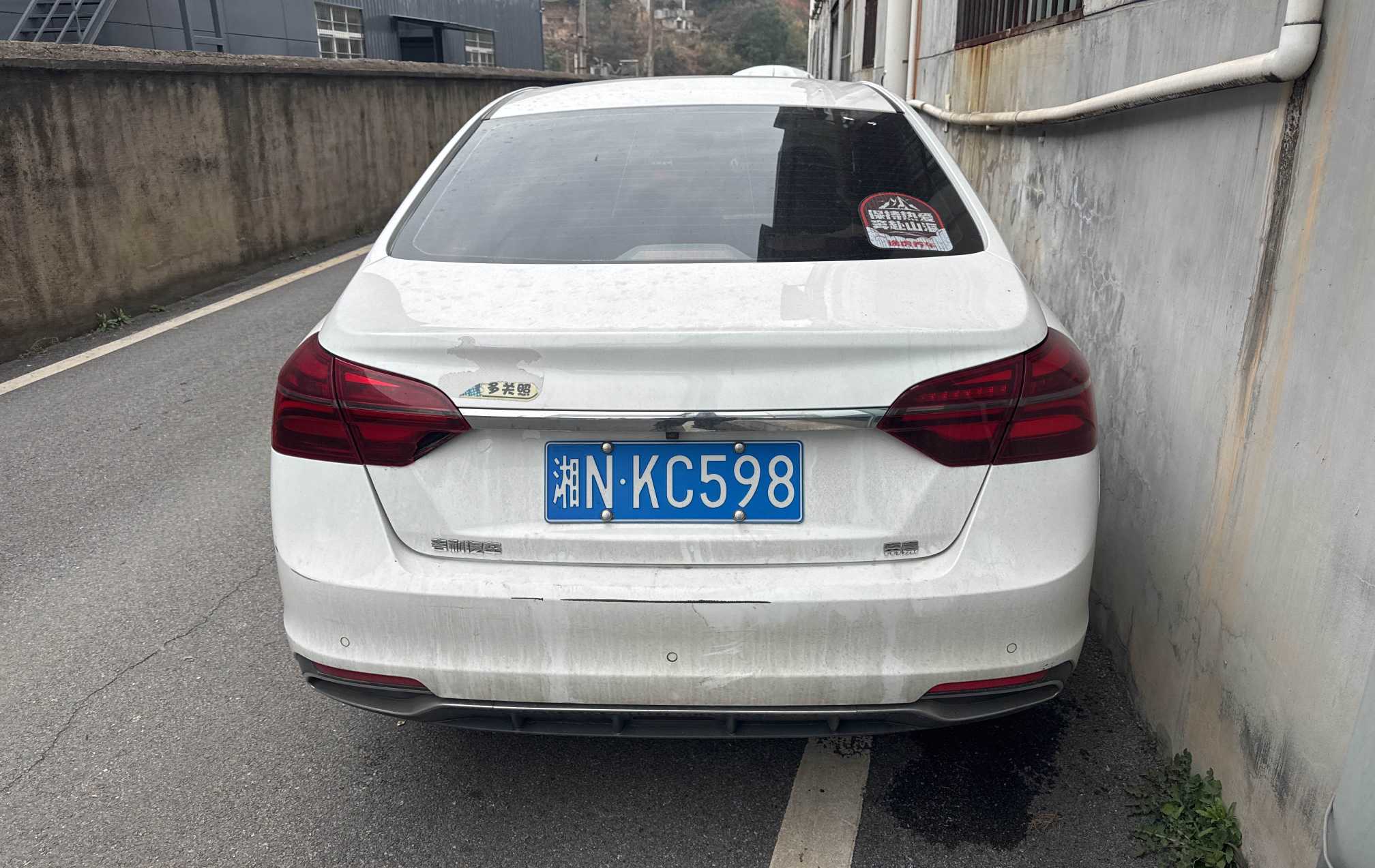 Emgrand 2019 car image #2