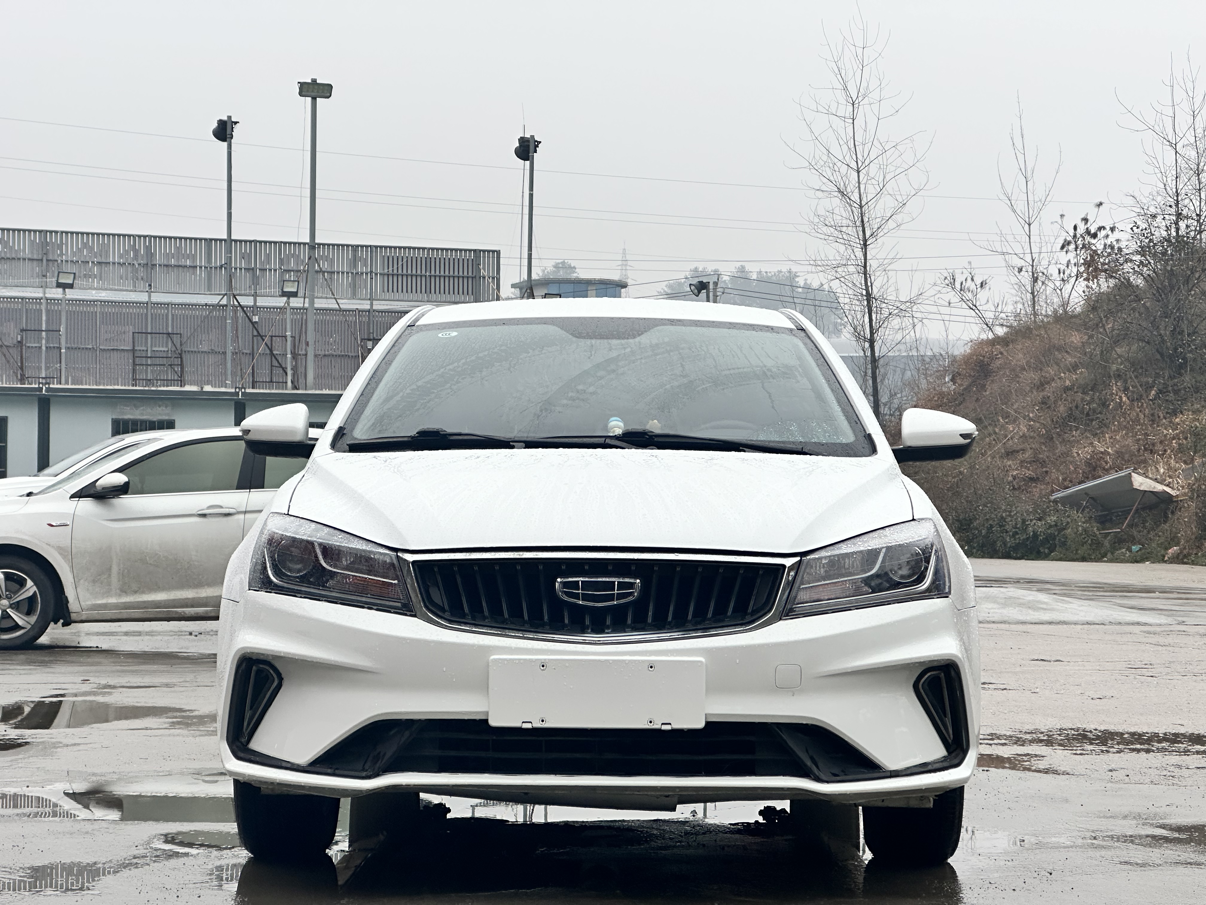 Emgrand 2021 car image #2