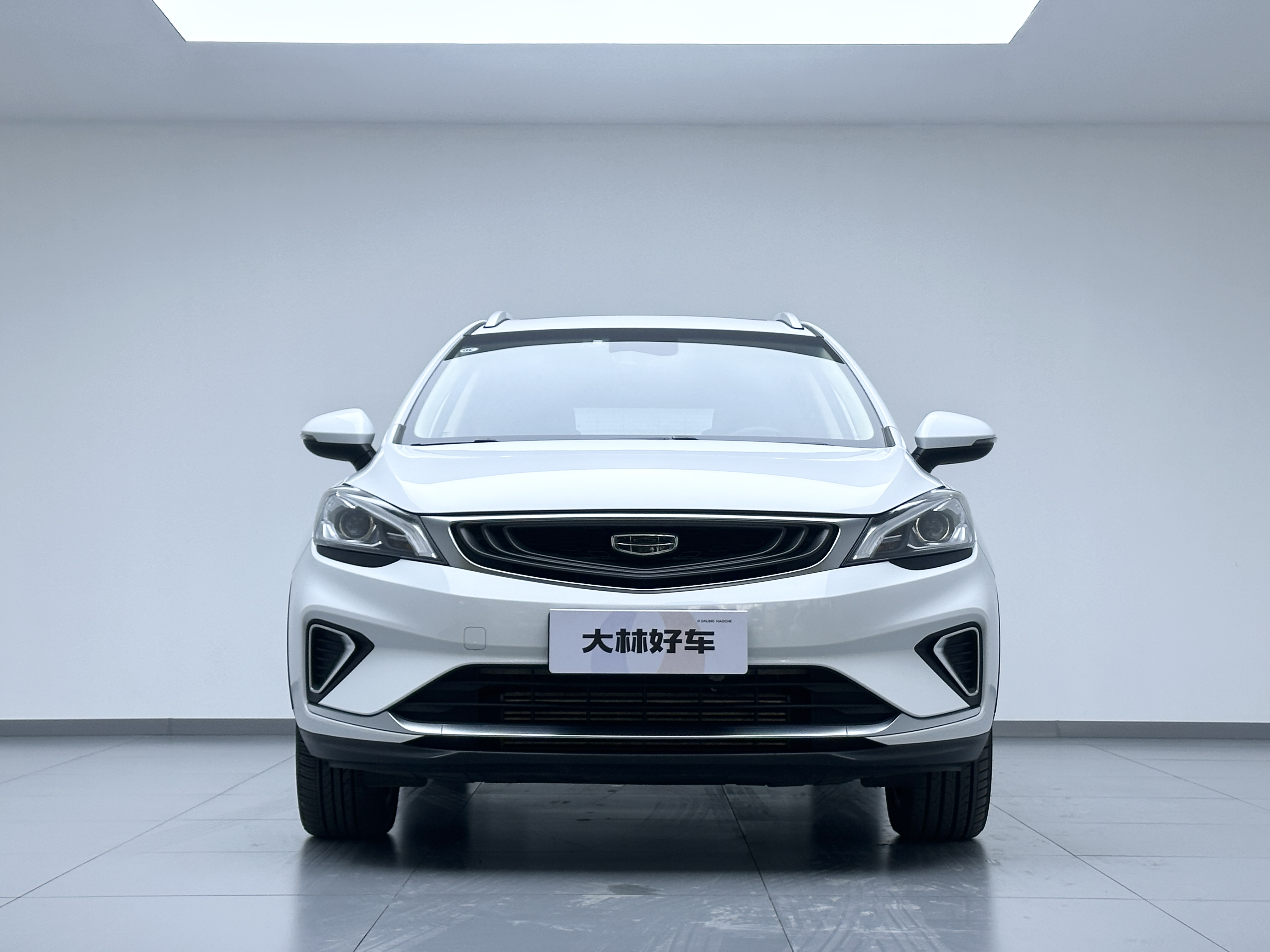 Emgrand GS 2019 #2 Emgrand GS 2019 car image #2