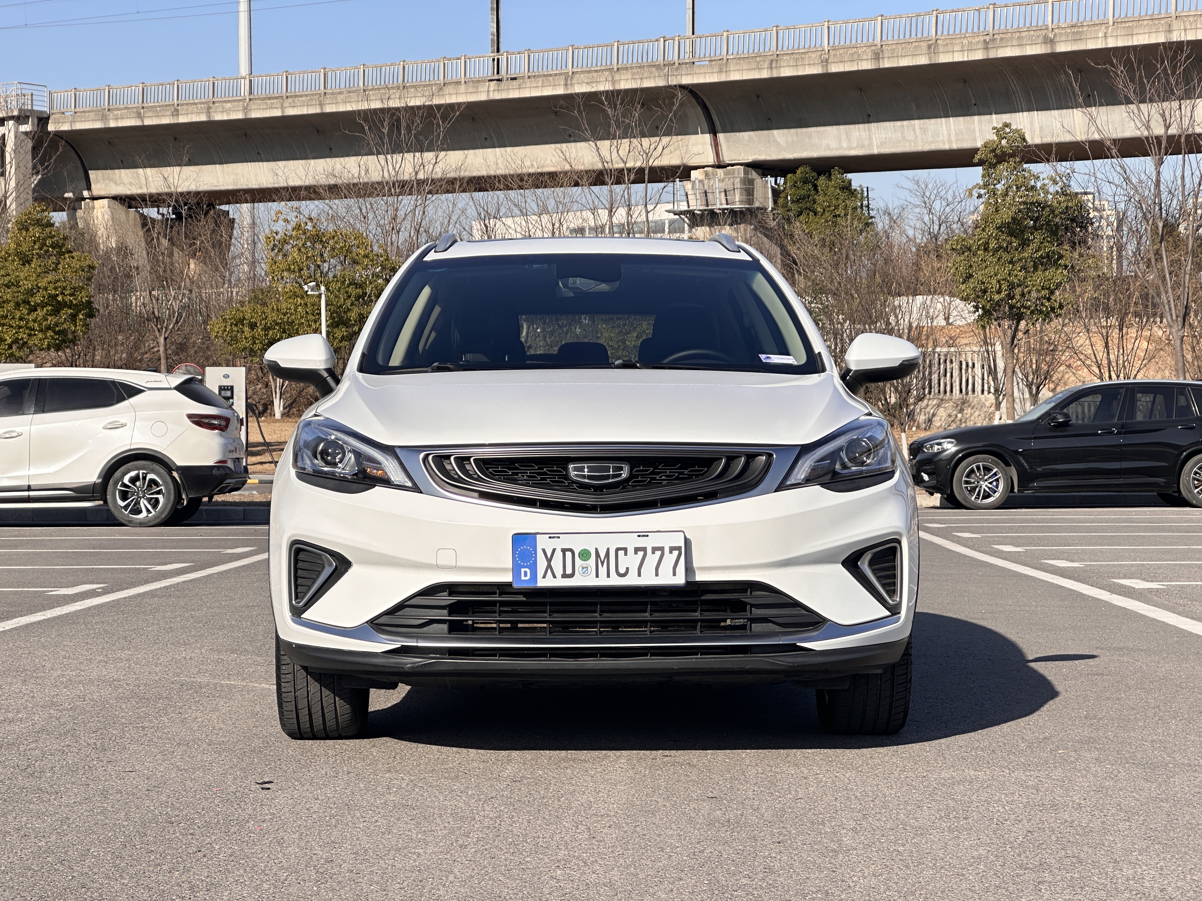 Emgrand GS 2019 #2 Emgrand GS 2019 car image #2