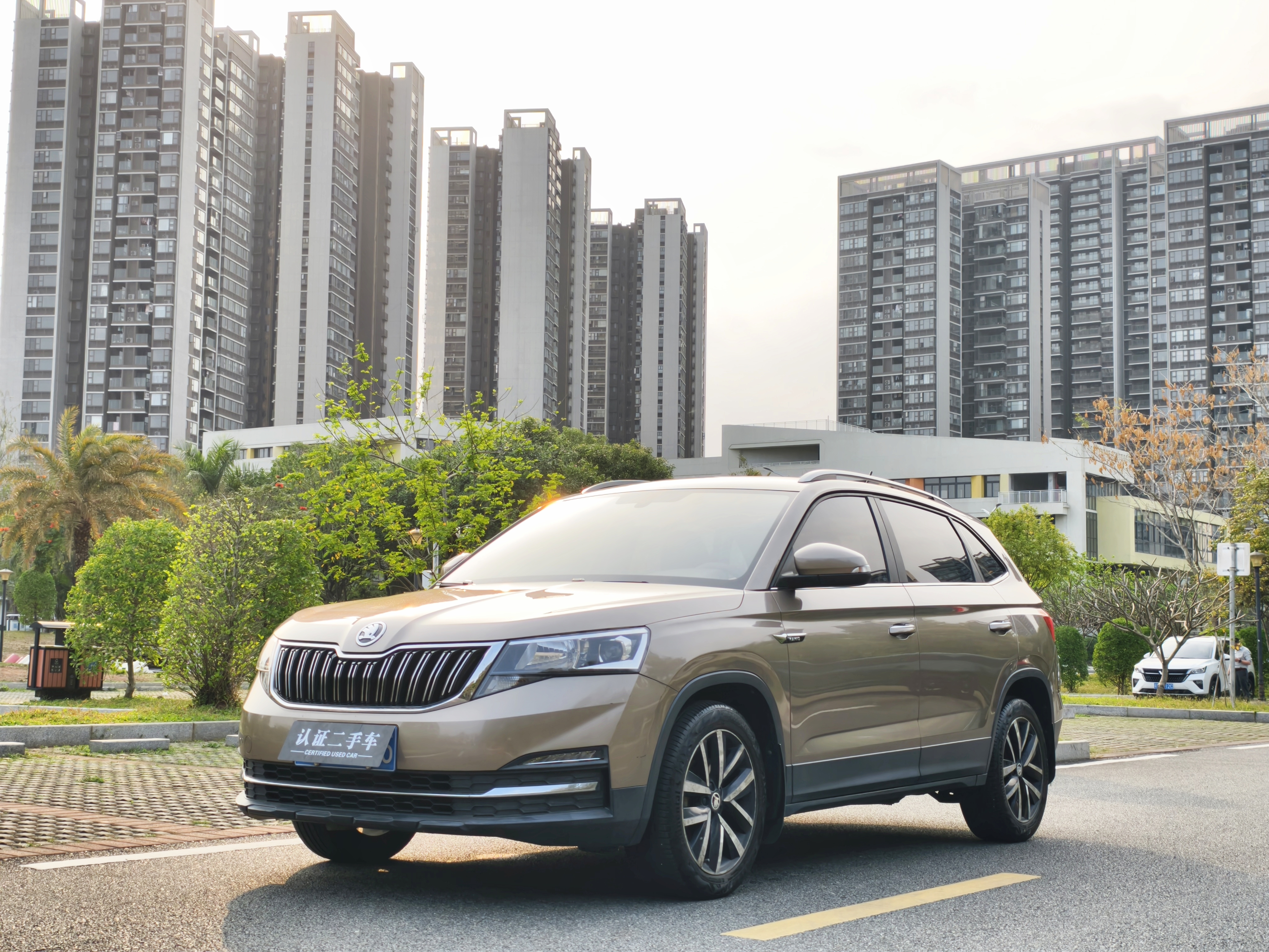 Skoda Kamiq 2020 imagem de carro #2