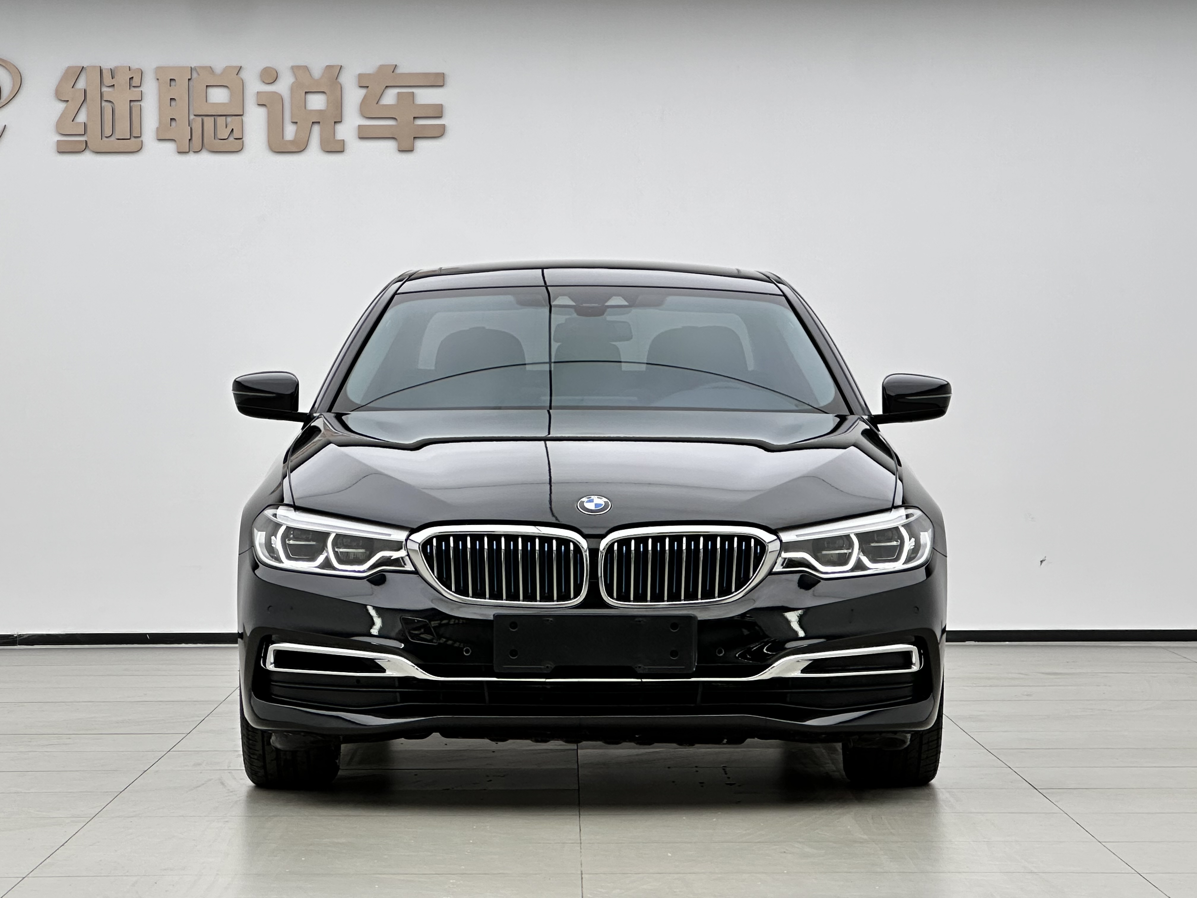 BMW 5 Series New Energy 2019 car image #2