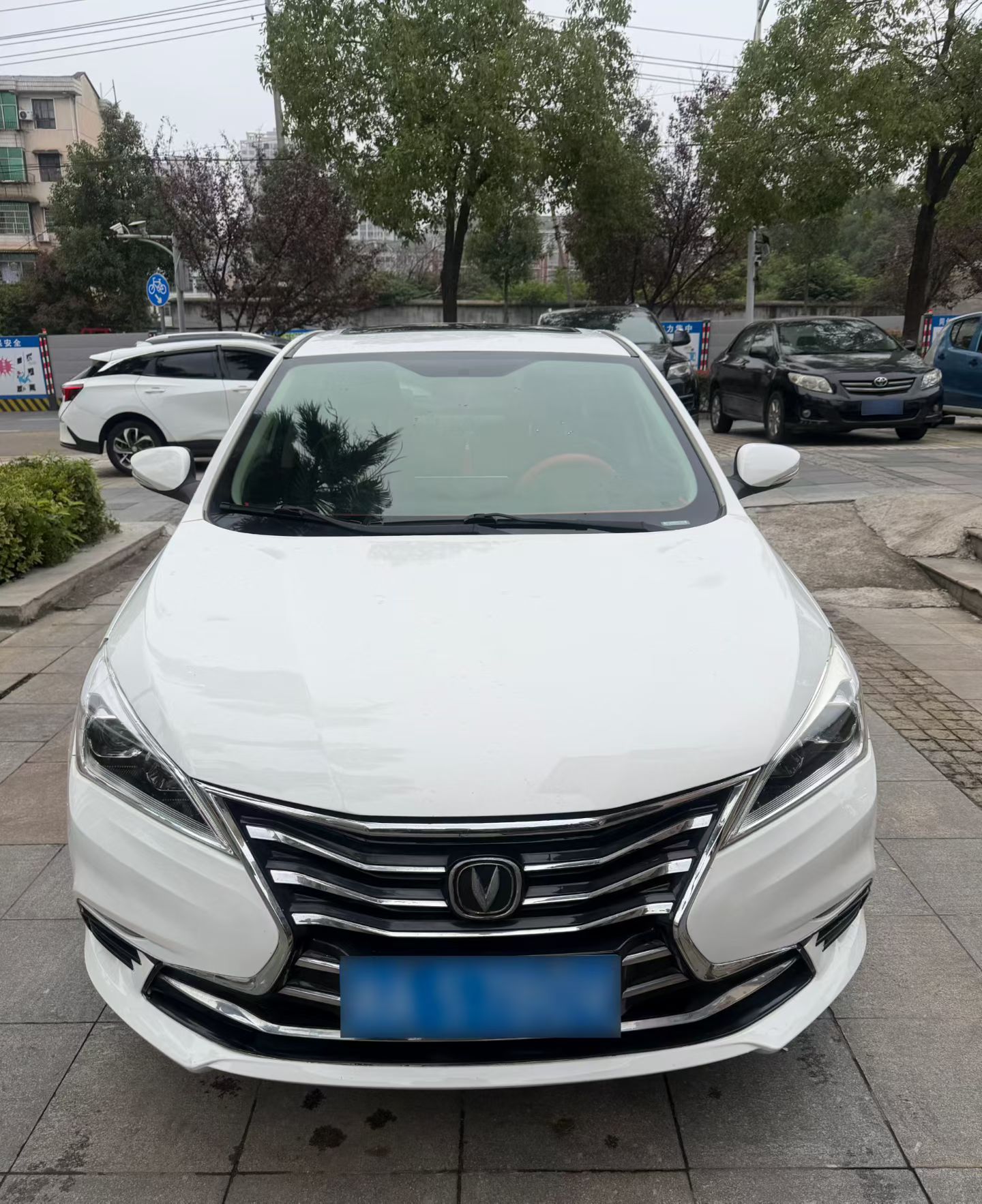 Changan Eado DT 2019 car image #2