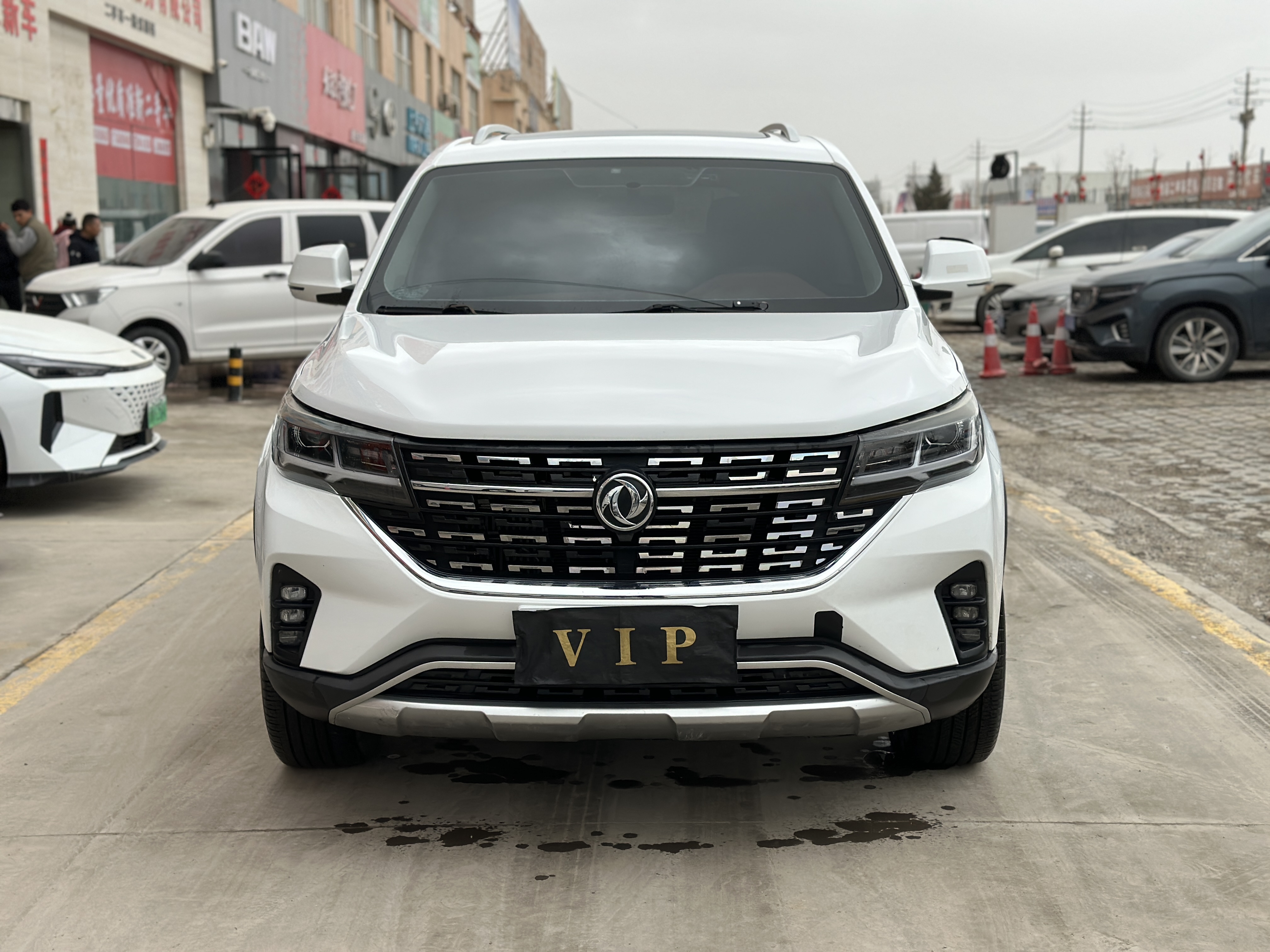 Forthing T5 L 2019 car image #2